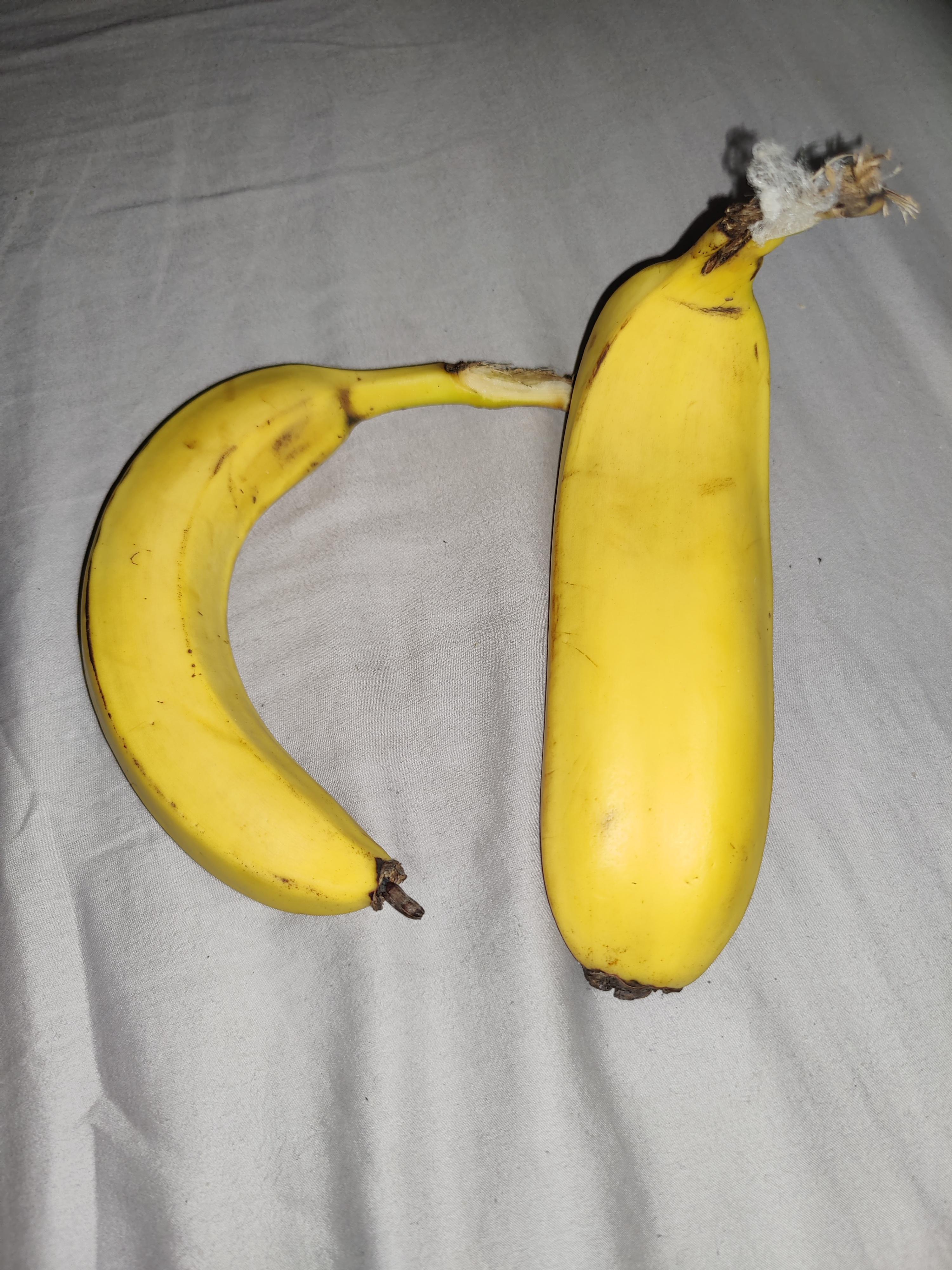 This extra fat Banana r/mildlyinteresting