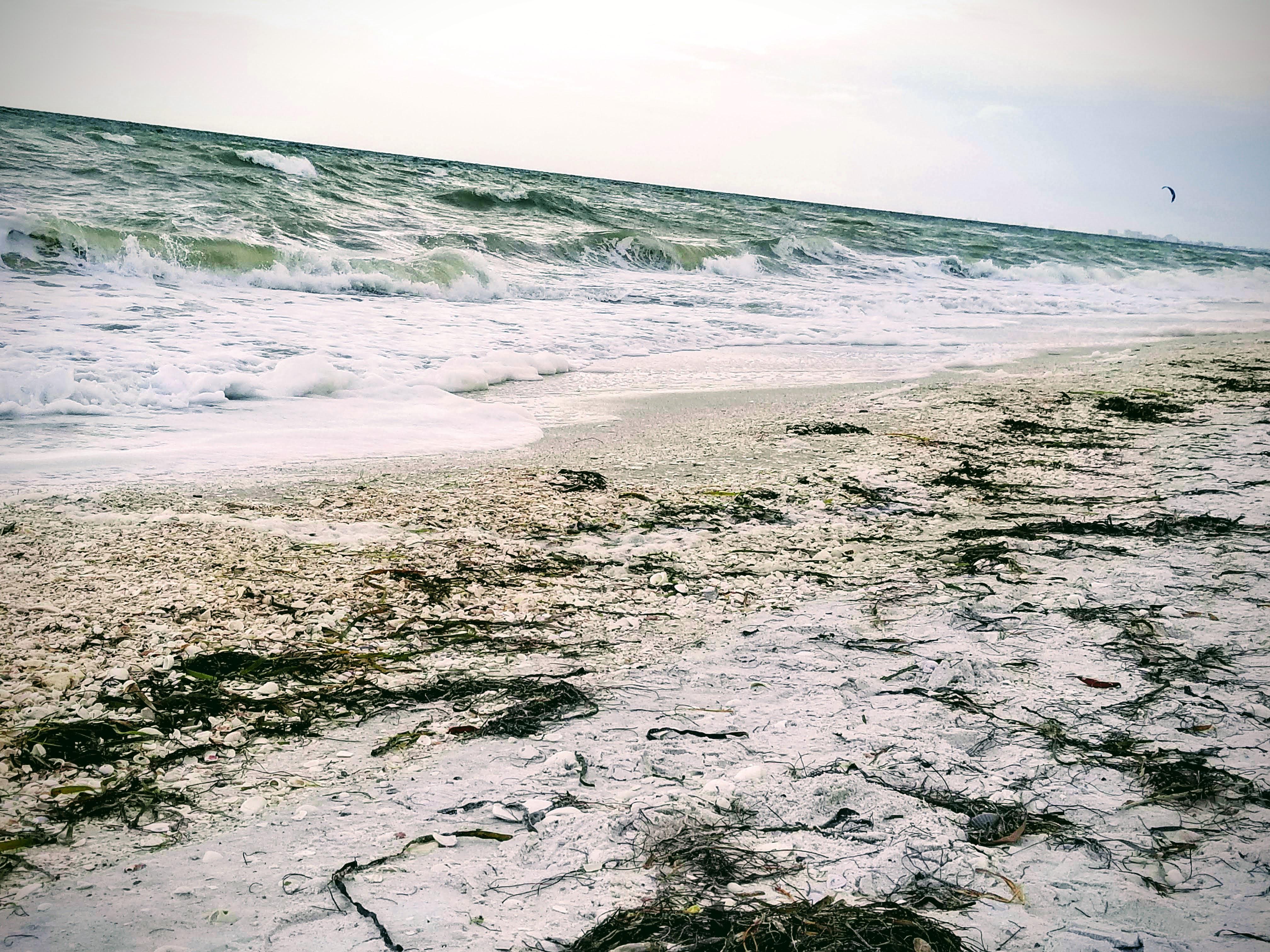 Bonita Springs Beach r/FloridaWater