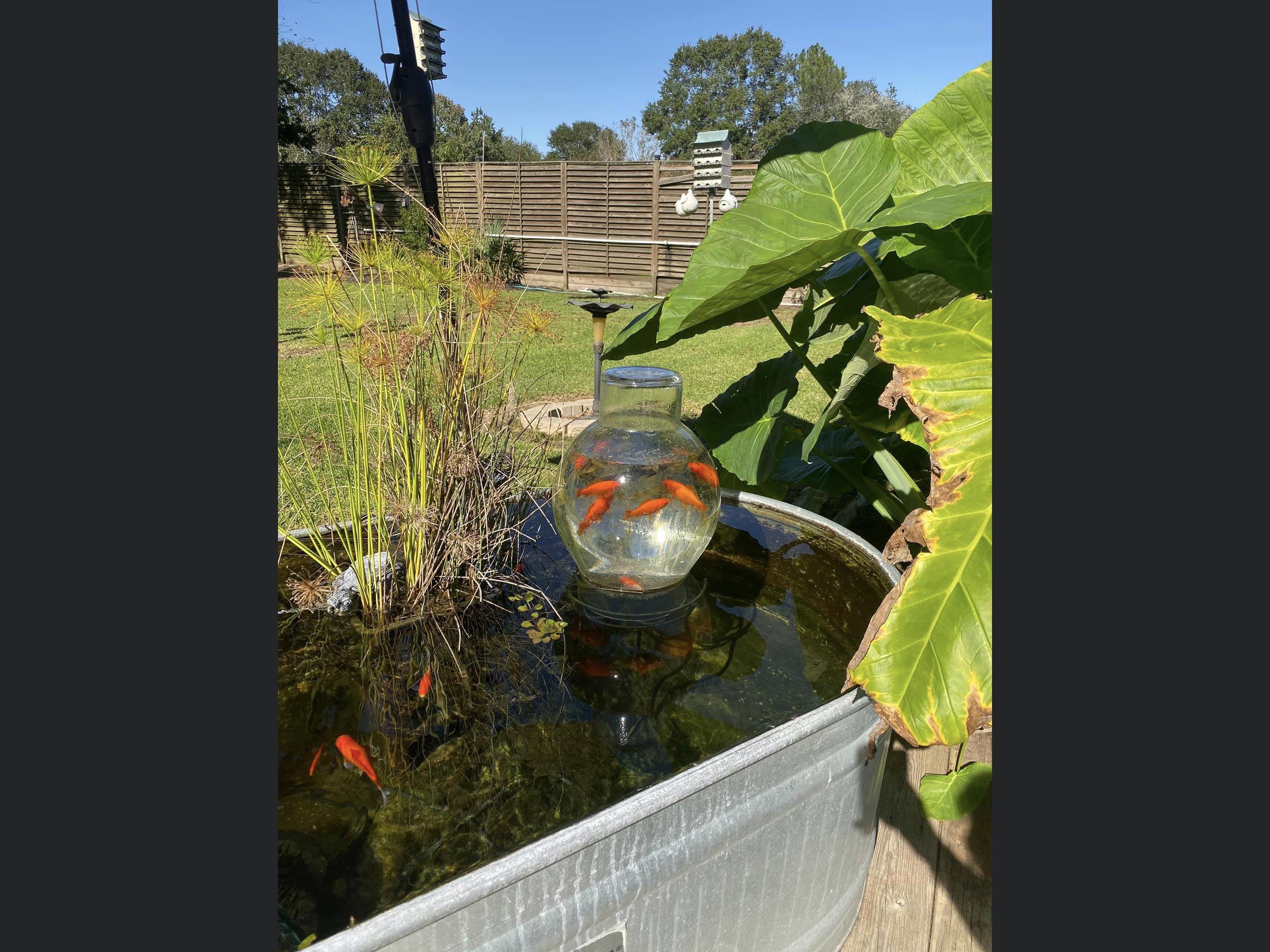 Fish towers we made for our outdoor ponds. The fish love them. r