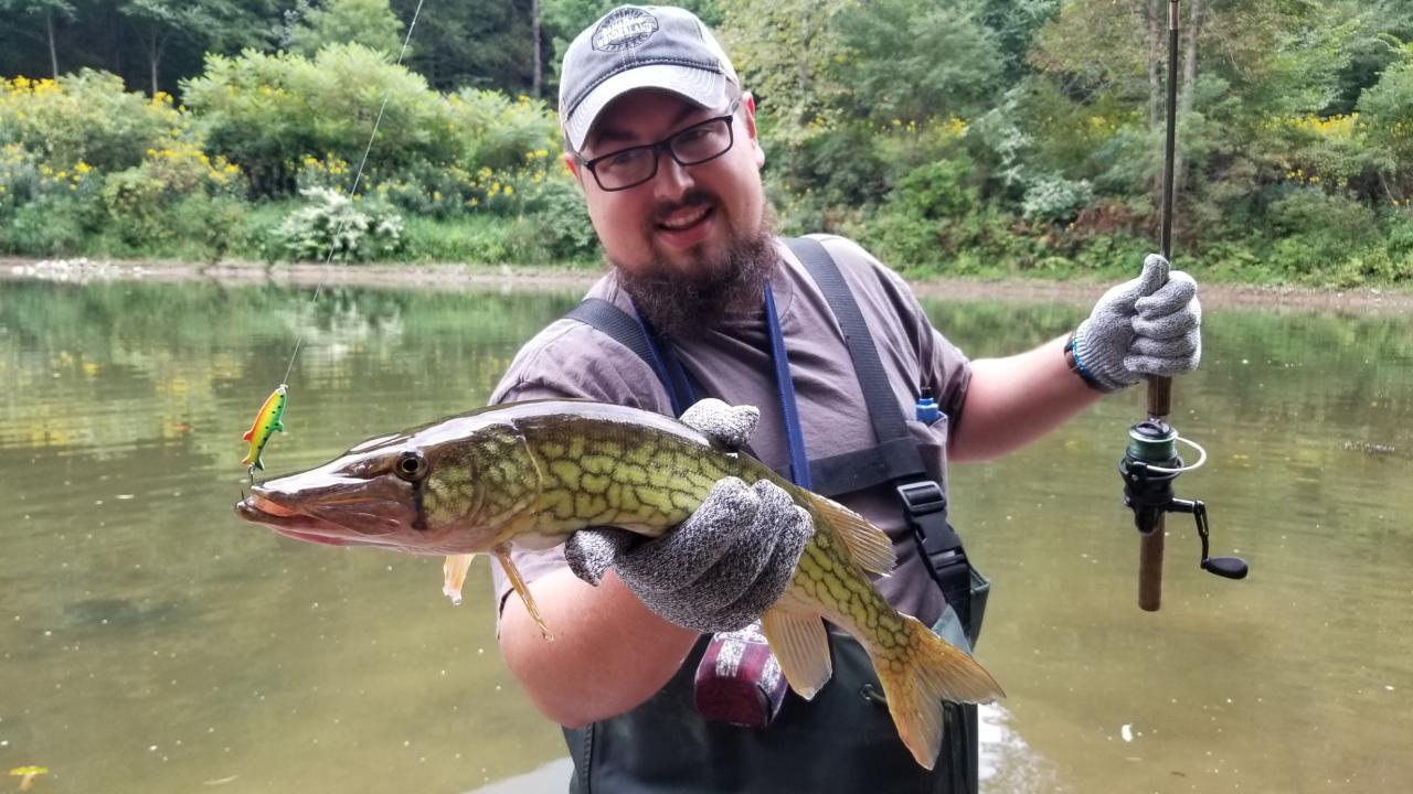 My first predator fish on pine Creek, little Grand canyon, pa r/Fishing