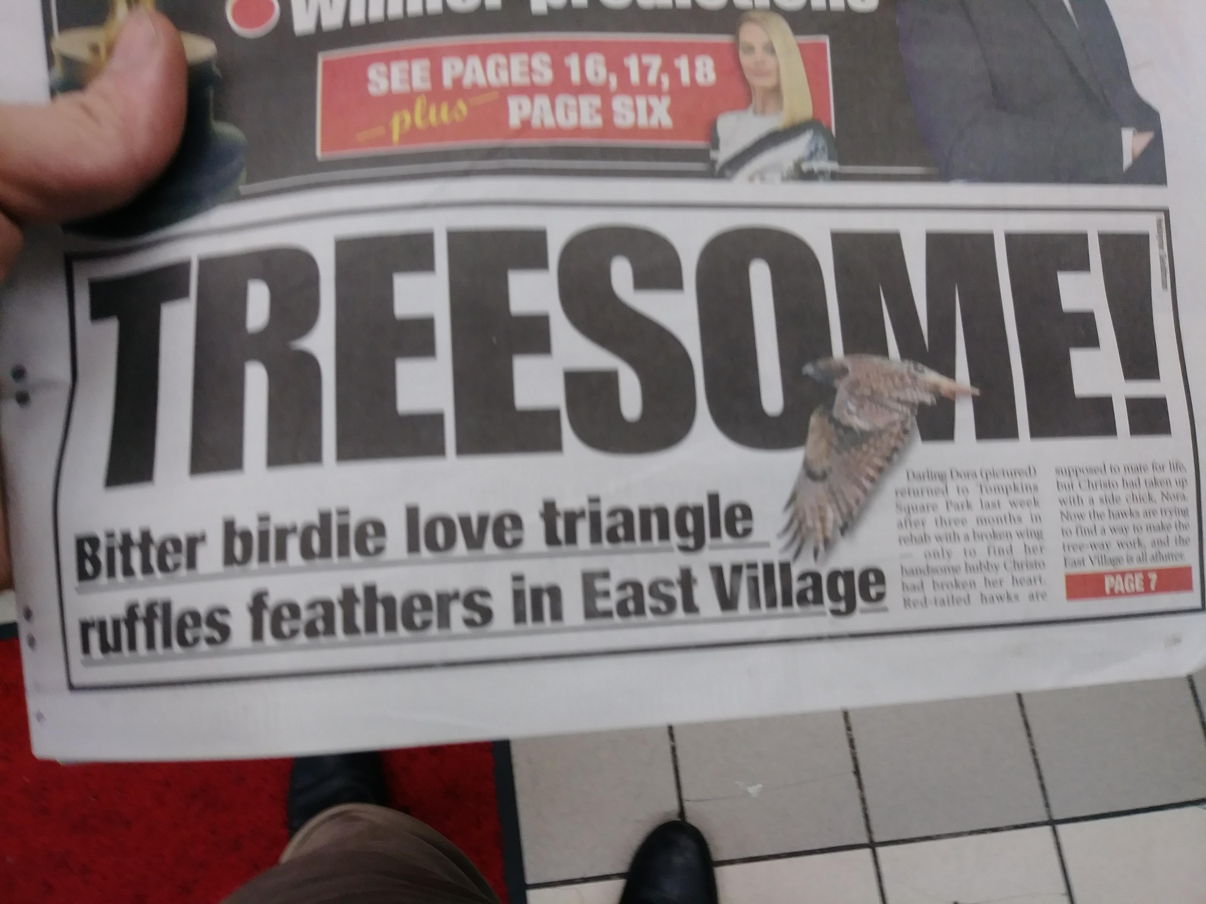 NY Post with the hard hitting stories. r/nyc