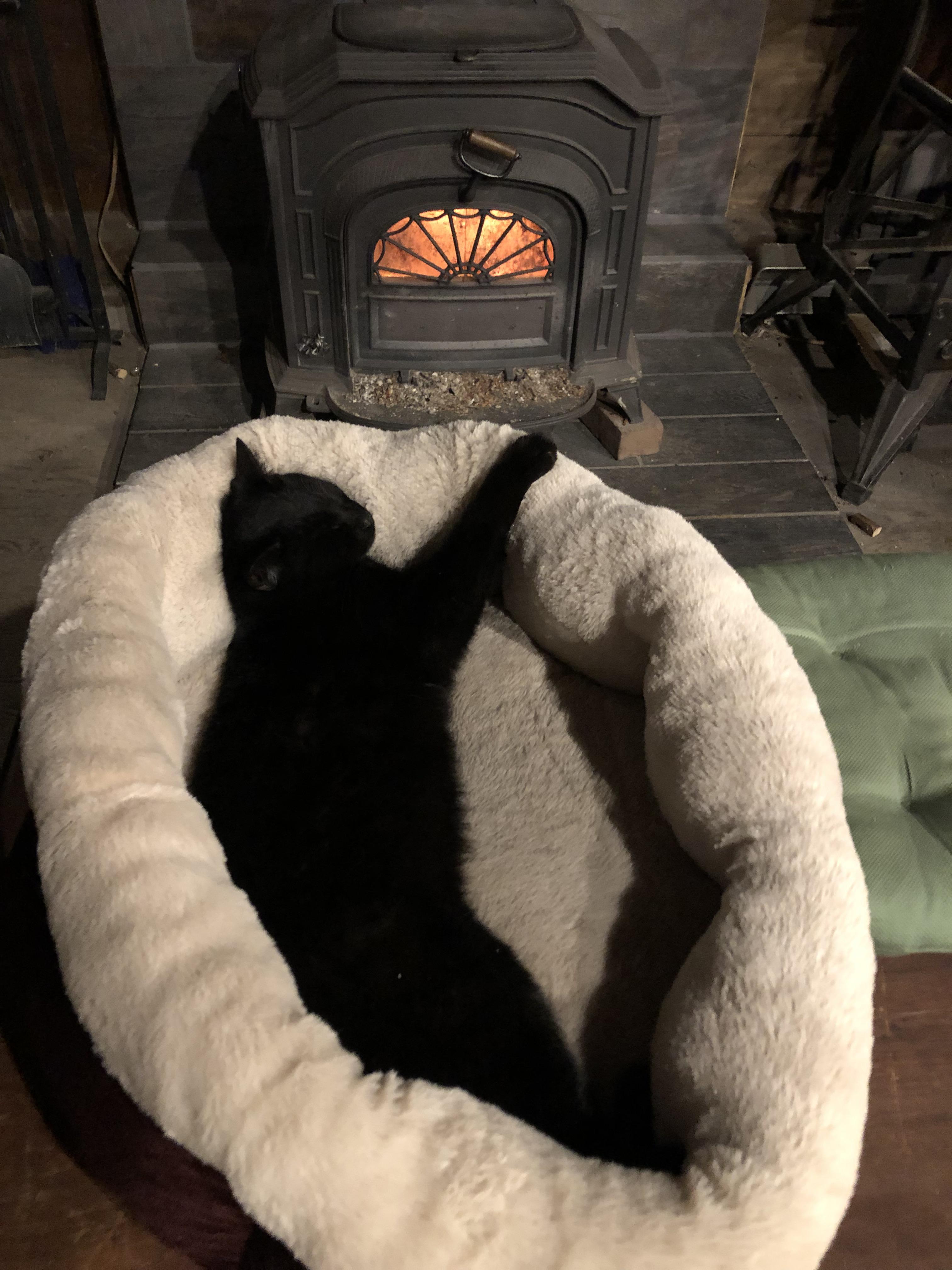 Woodstove melted my cat r/catsareliquid