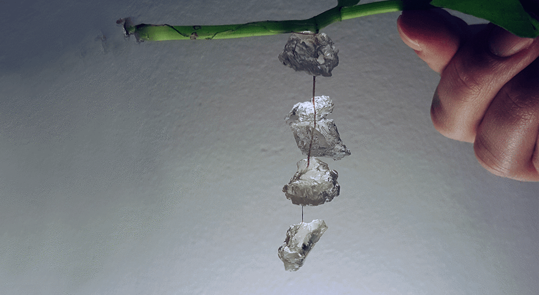 Water, but solid. Helps plants survive without water longer. r/LegacyRoot