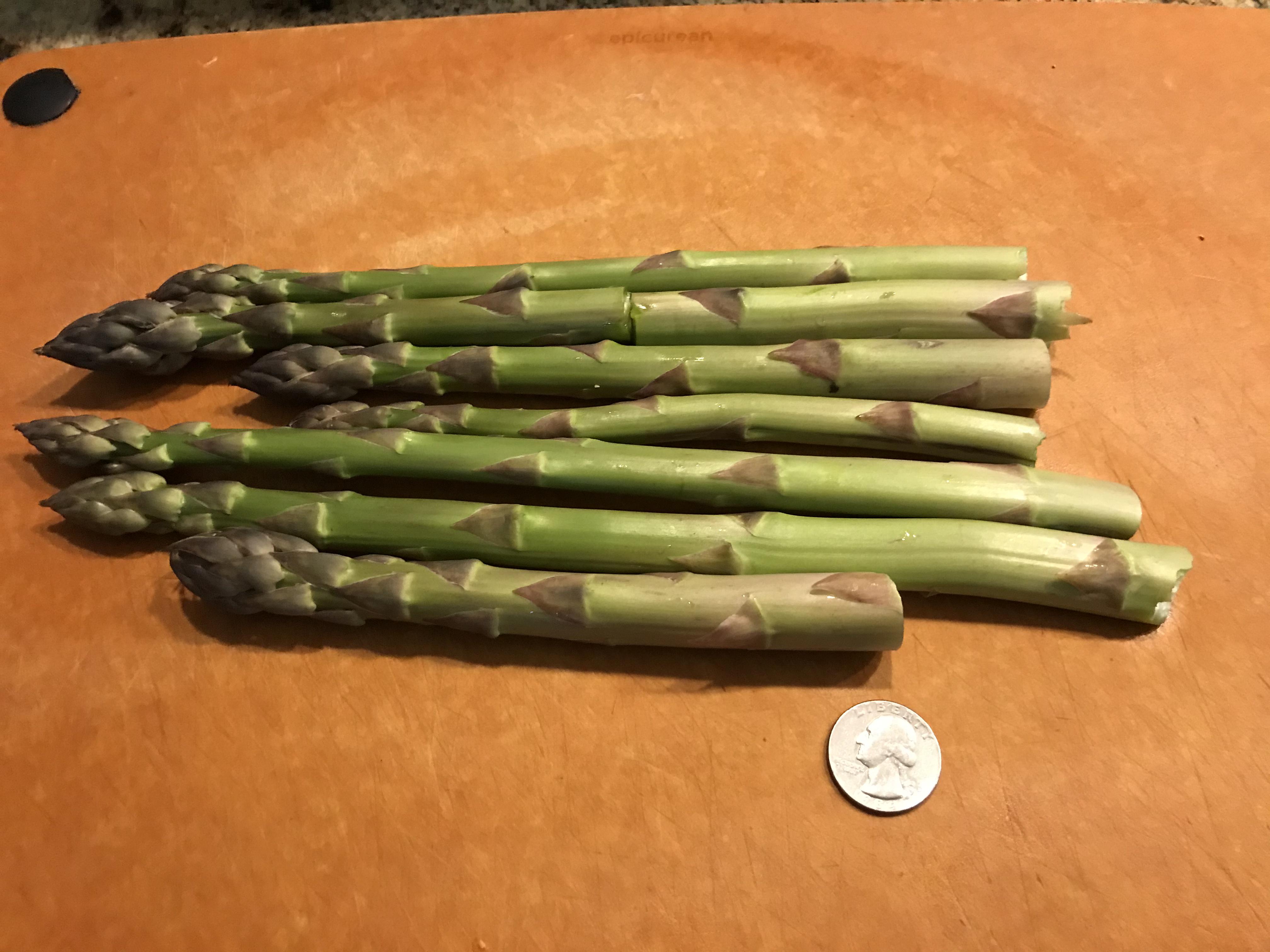 Jersey Giant Asparagus straight from my garden today 😃 r/gardening