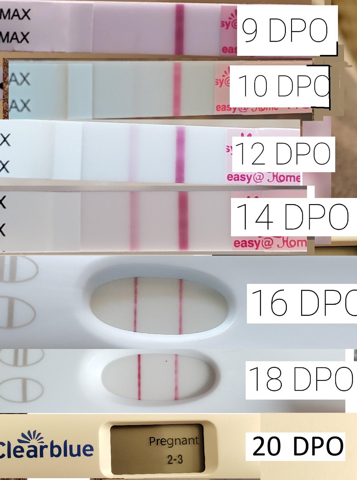 918 DPO progression (easyhome and FRER), and Clearblue Digital Weeks