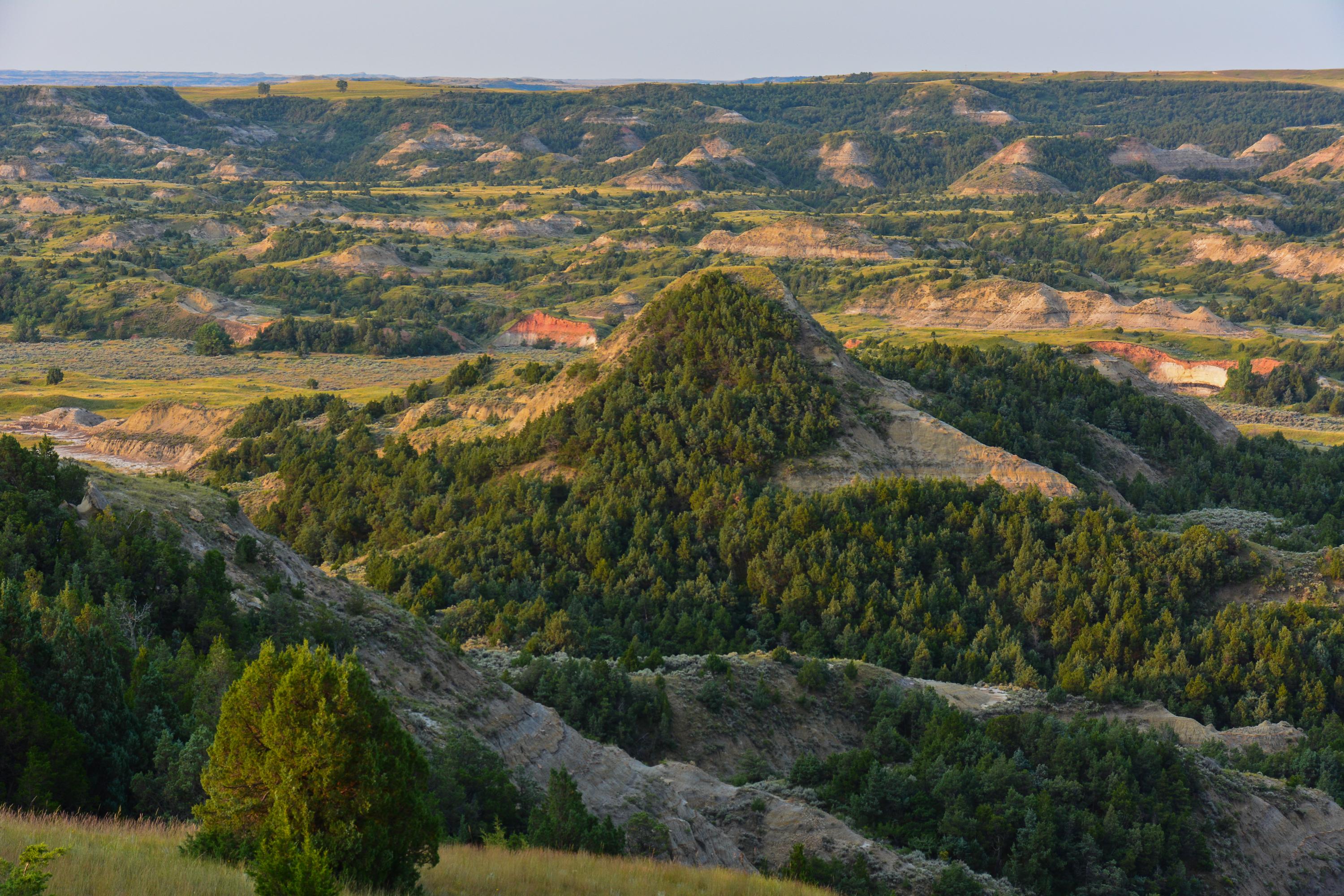 North Dakota badlands shortly after sunrise Theodore Roosevelt National Park [OC] [3000 x 2000