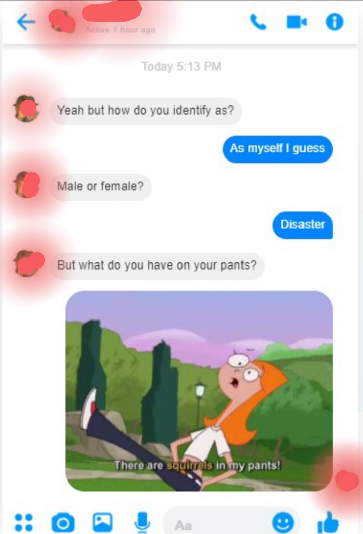 This is THE SIMP!! Someone tried to get in their pants, but the squirrels got there first r