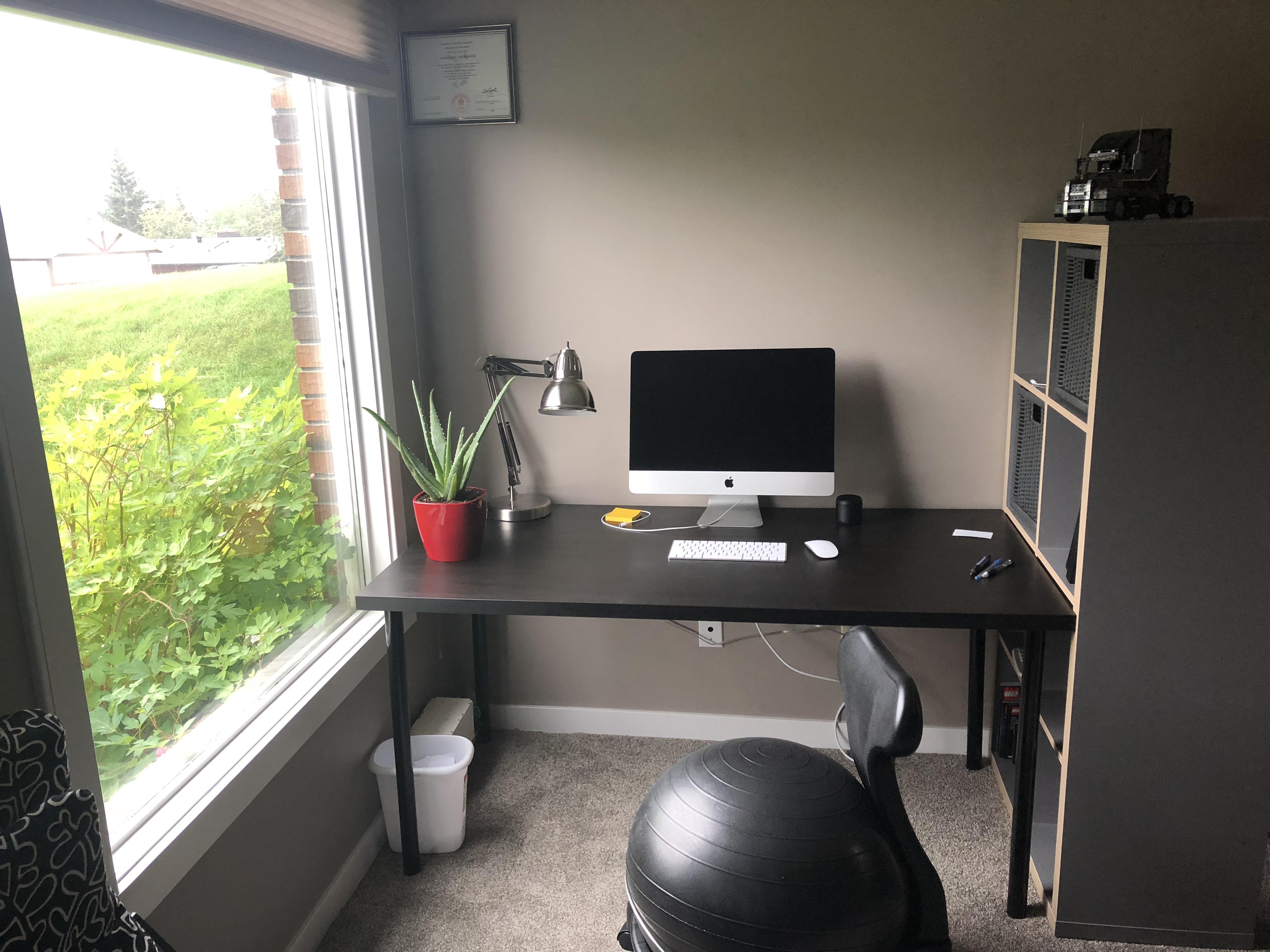 My Aloe, iMac, Ball chair and a good desk and shelf look pretty good together ) r/Workspaces