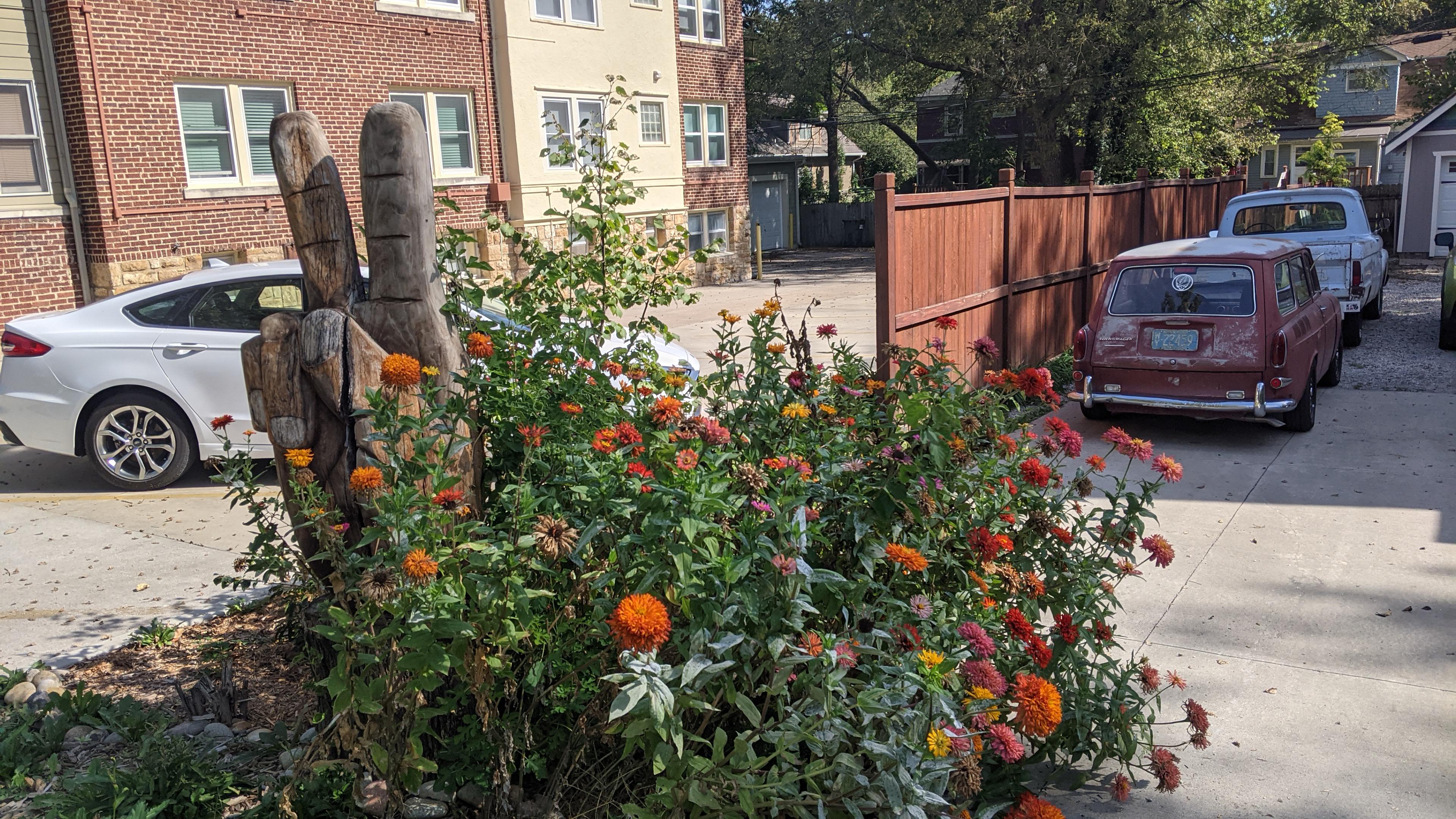 what is the white powder growing on the flowers? r/gardening