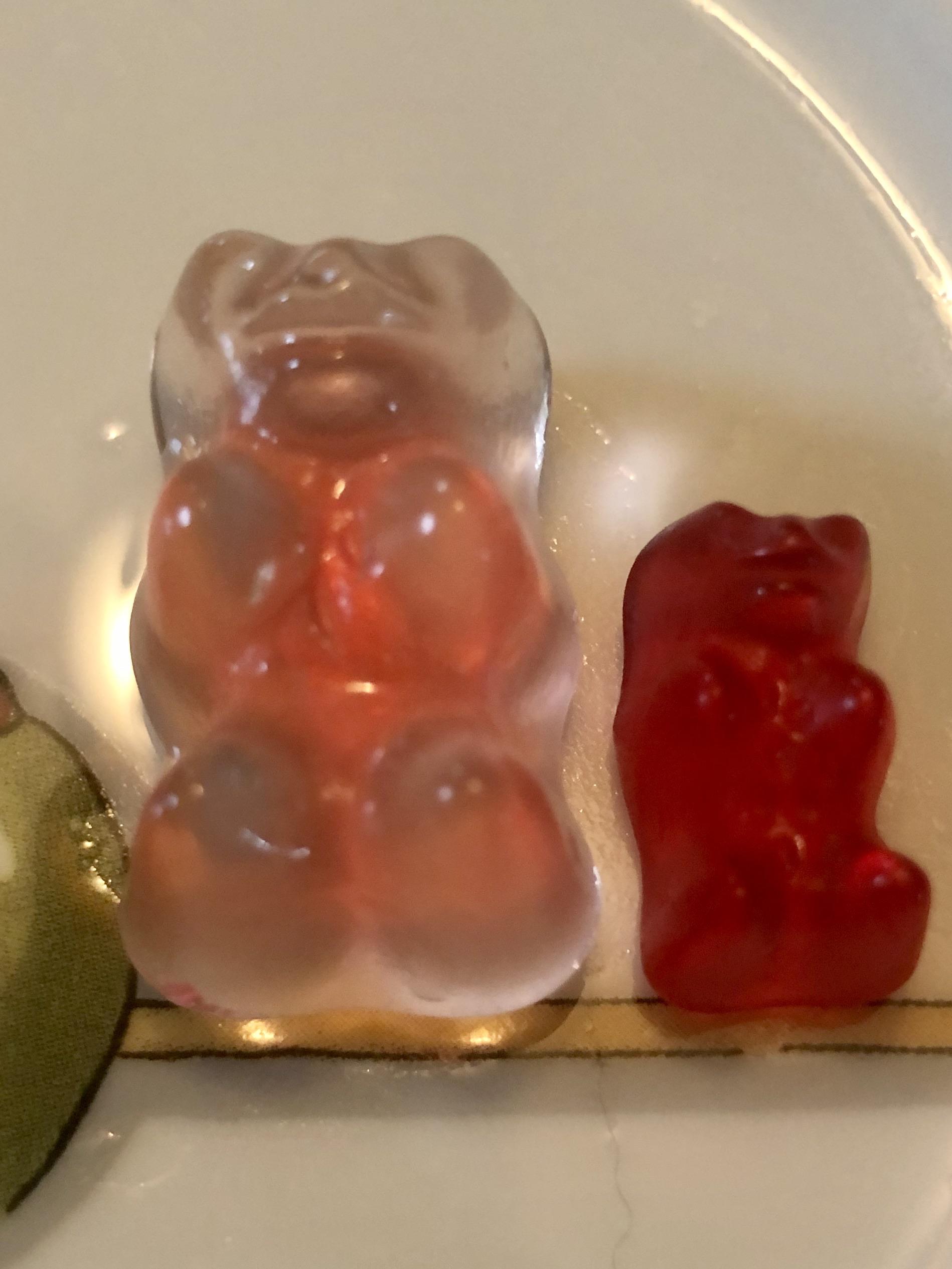 This gummy bear sat in water all night and poofed up to 3x his size