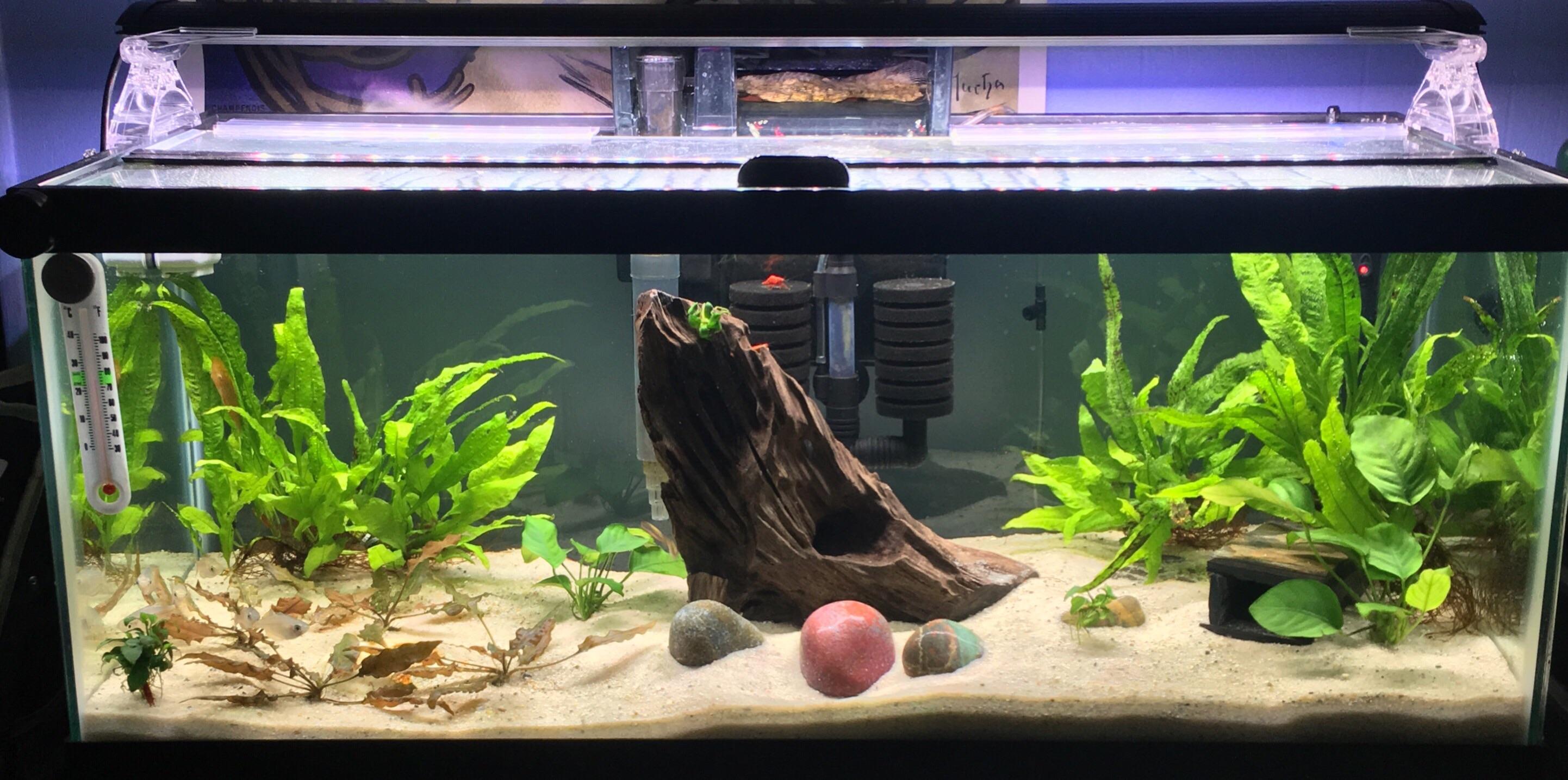 20L that I found on Craigslist for 5. r/Aquariums