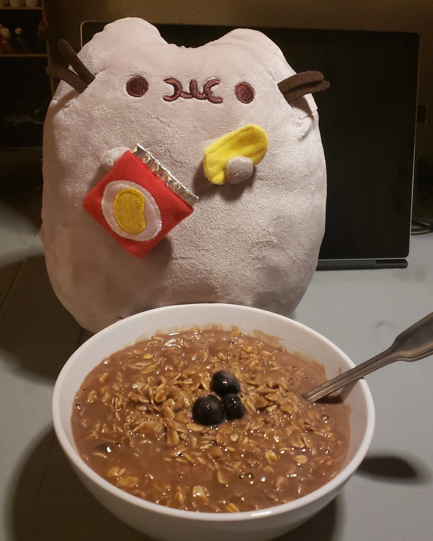 Chocolate blueberry oatmeal (serving sizes important here!) r/FODMAPS