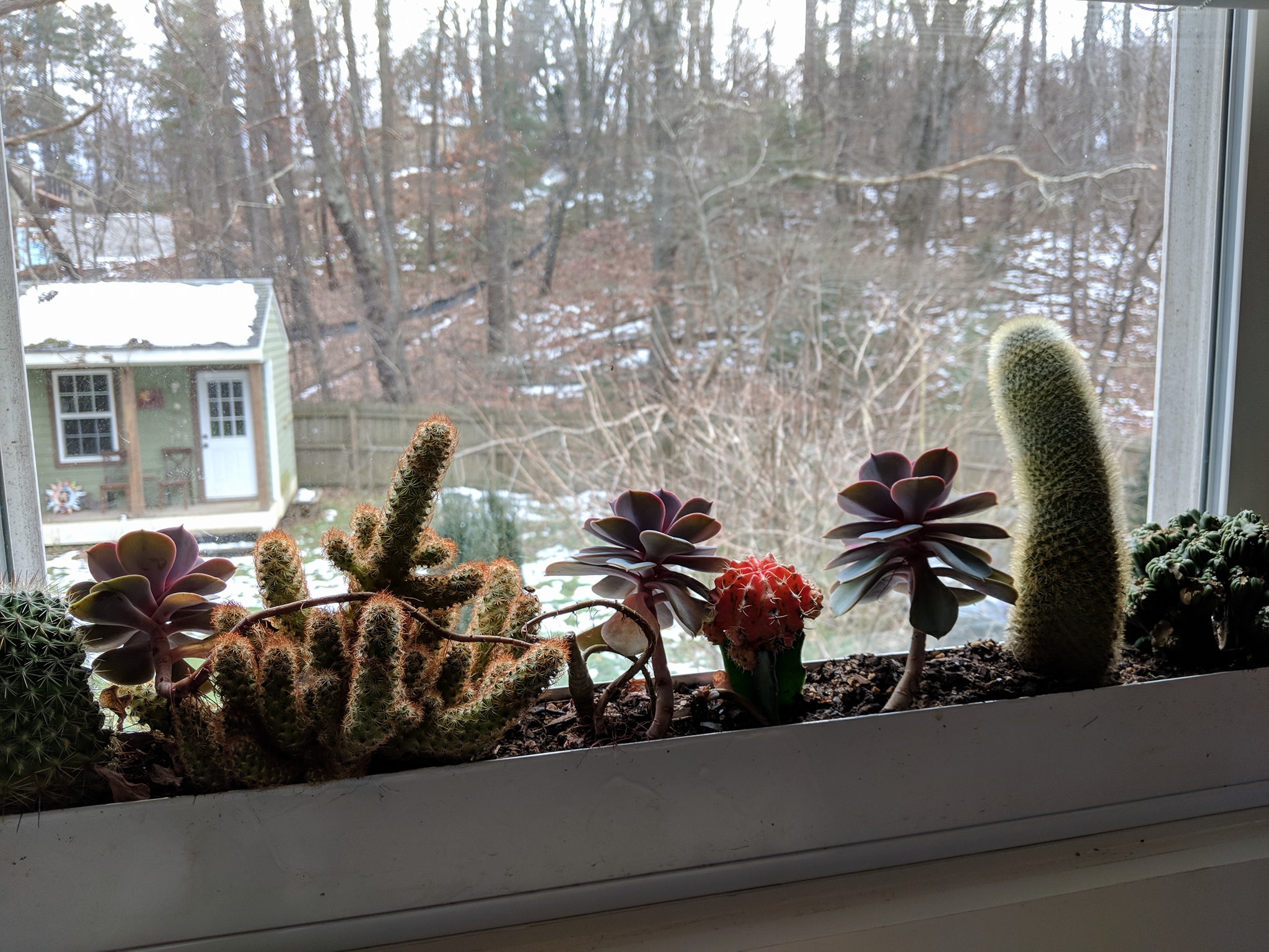 Window Sill Planter. Asheville, N.C. r/gardening