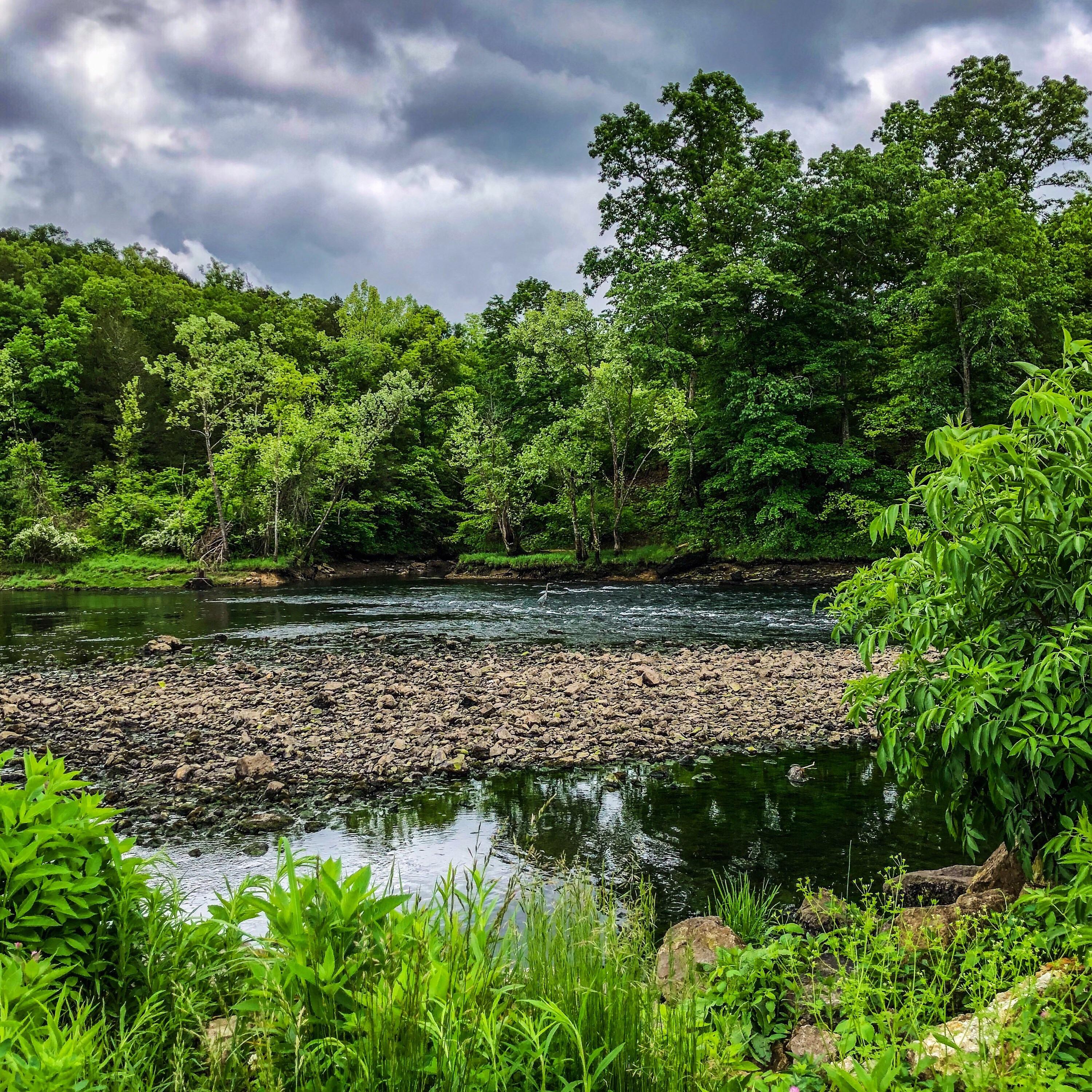 Storm moving in over the Norfork River in Arkansas with a bird standing