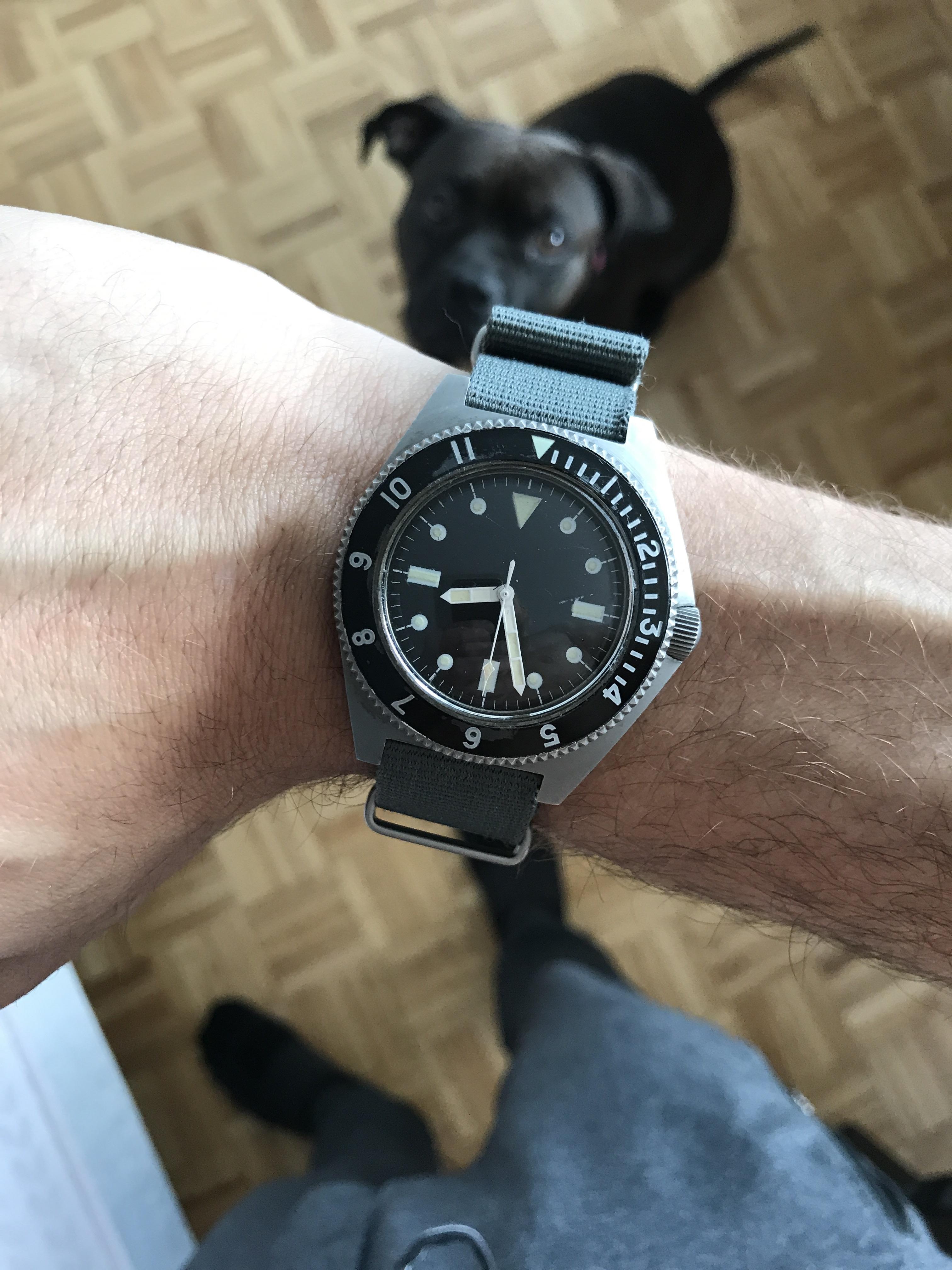 [benrus] a minimalist military dive watch from the 70s r/Watches