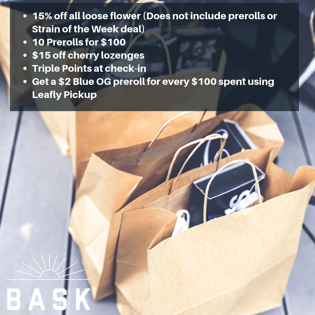 Bask in Fairhaven Black Friday Deals! r/bostontrees