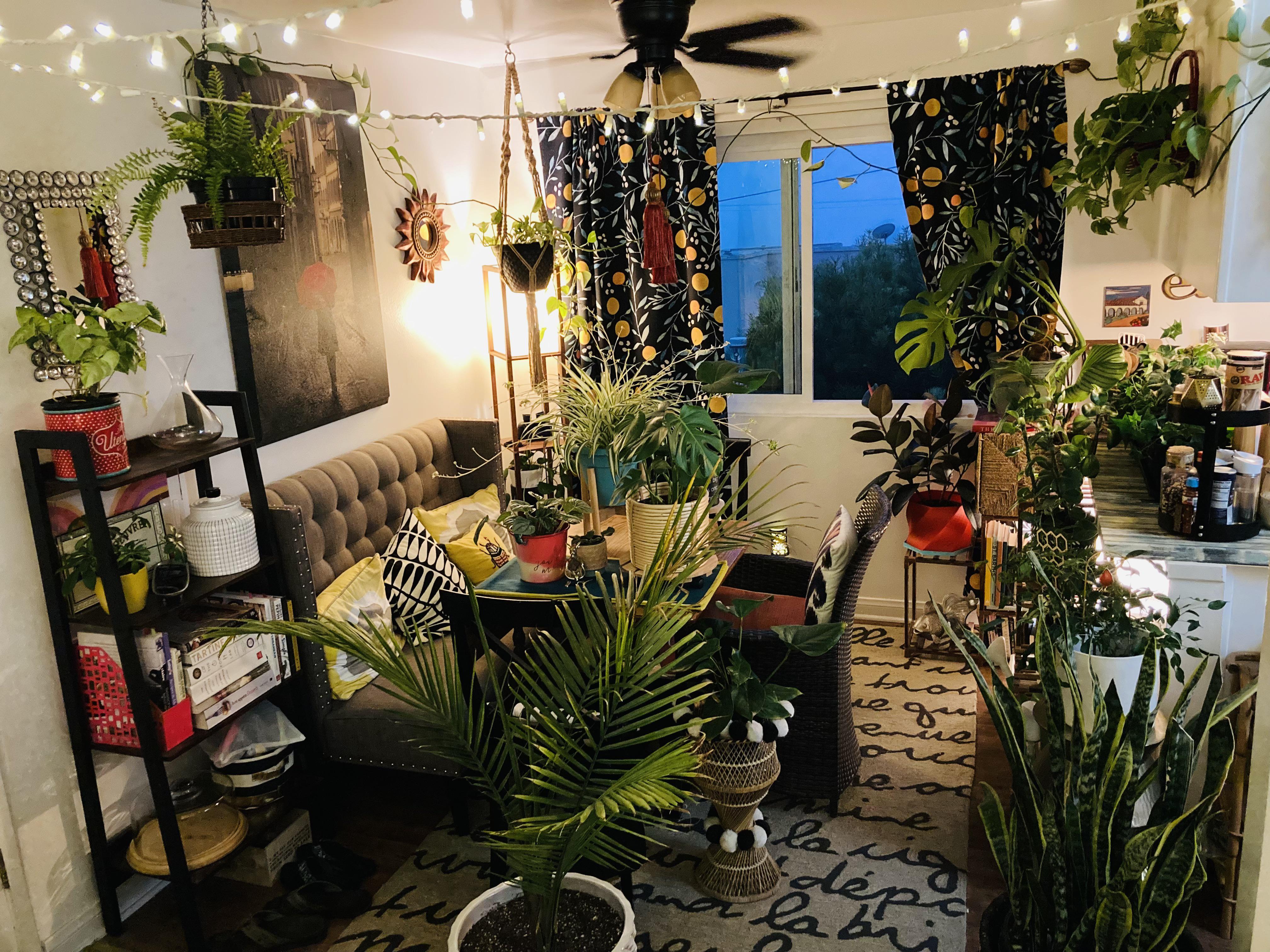 So they cleaned the outside walkway / porch carpets and we had to move