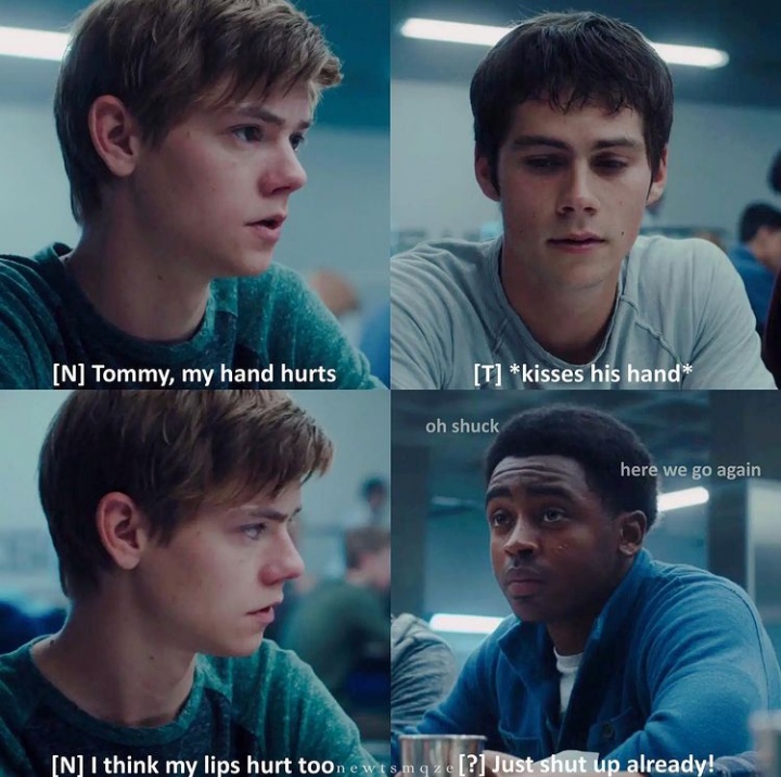 Newtmas r/MazeRunner_TheTest