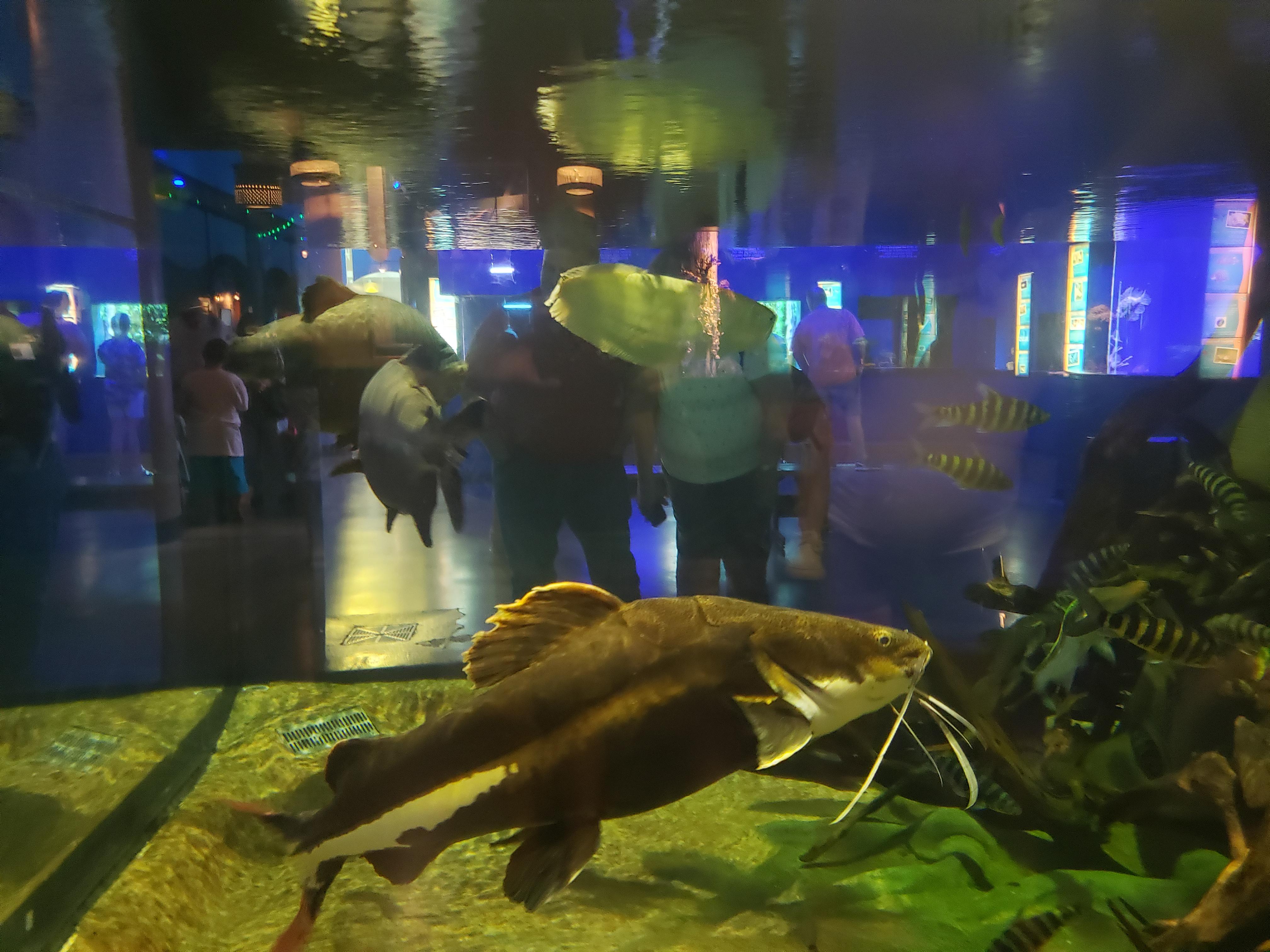 Tulsa Aquarium r/Aquariums