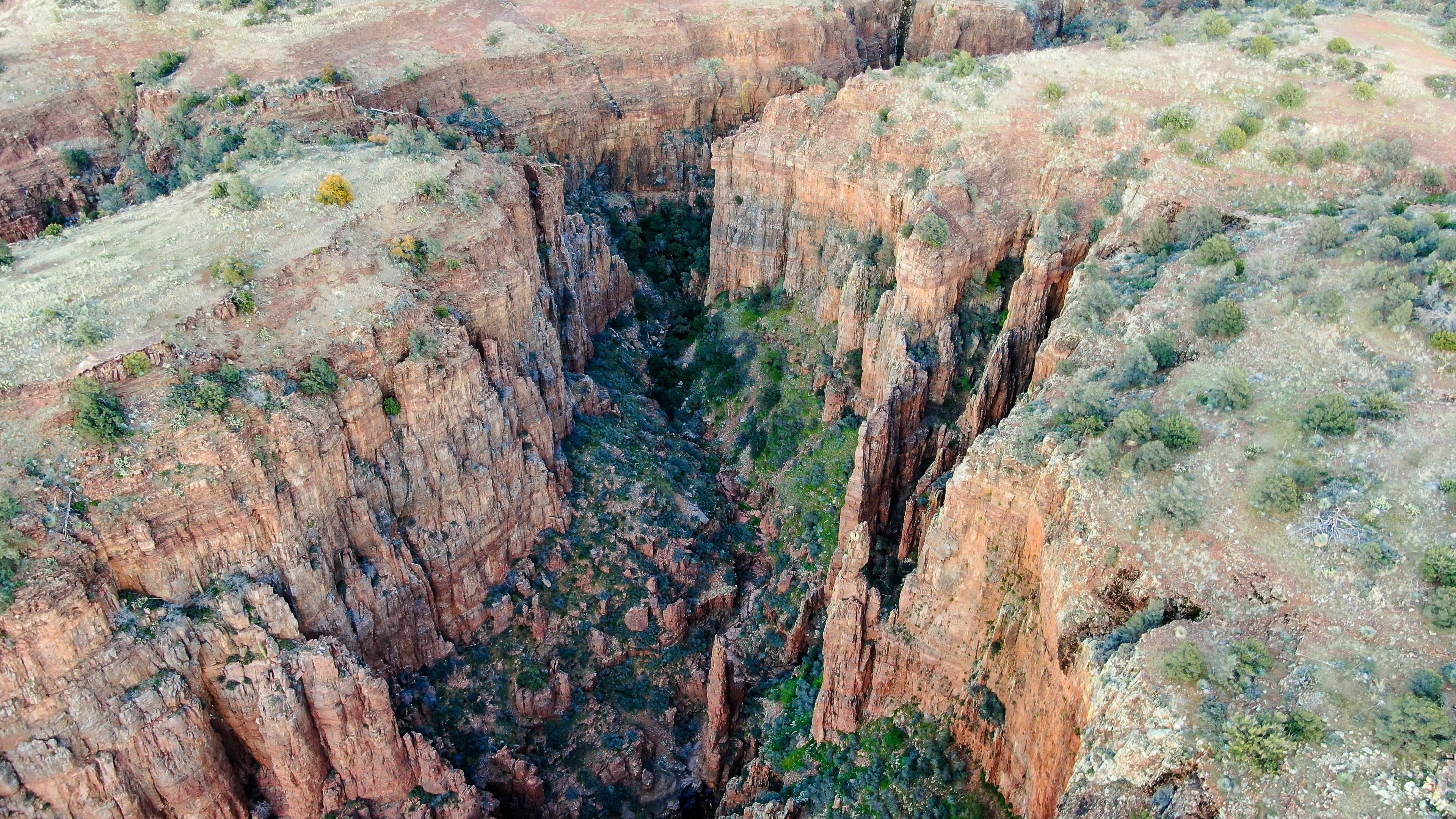 Aerial view of Arizona's Tonto National Forest near Roosevelt Lake [OC