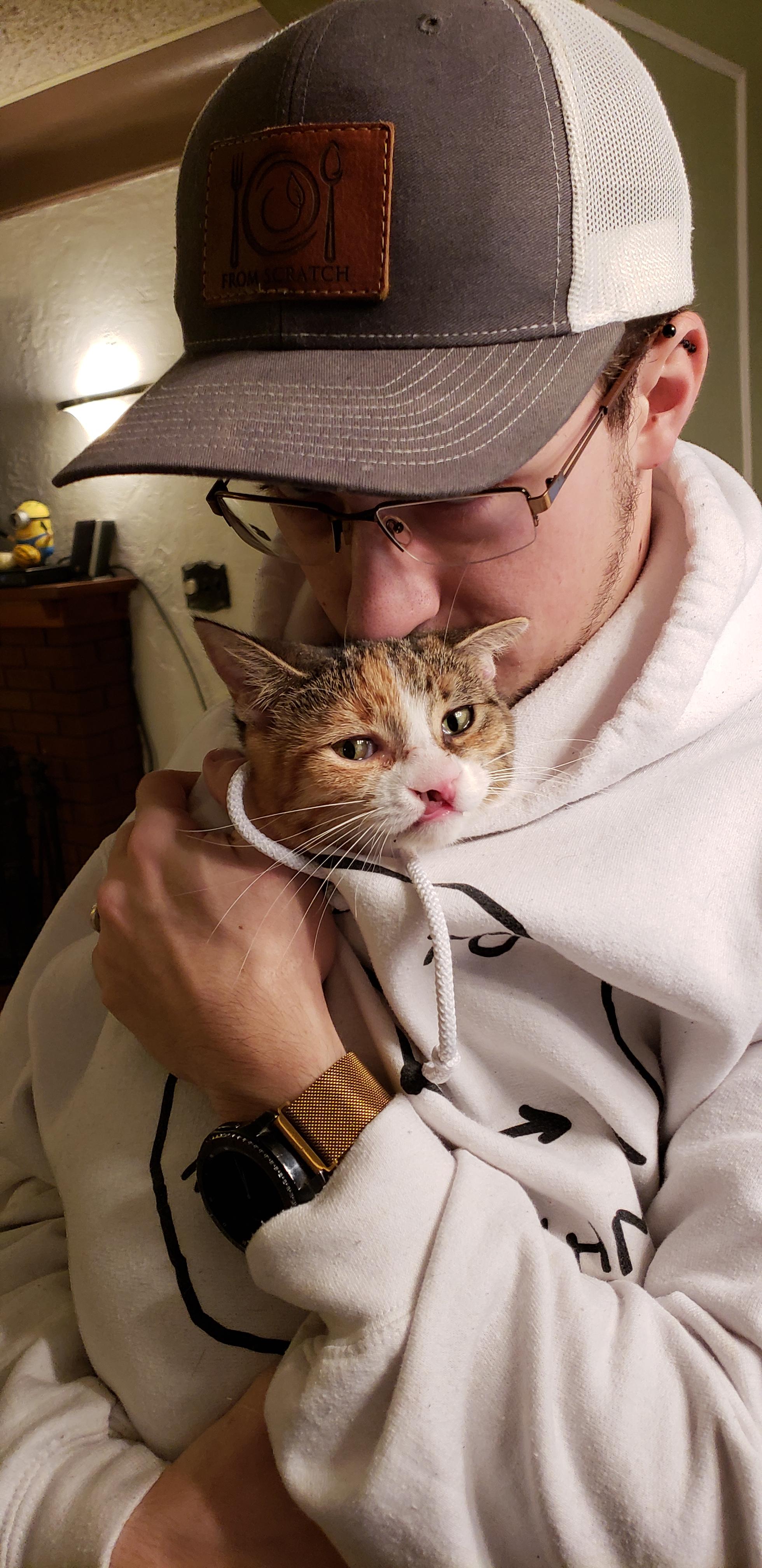 Our little cleft lip baby... cats