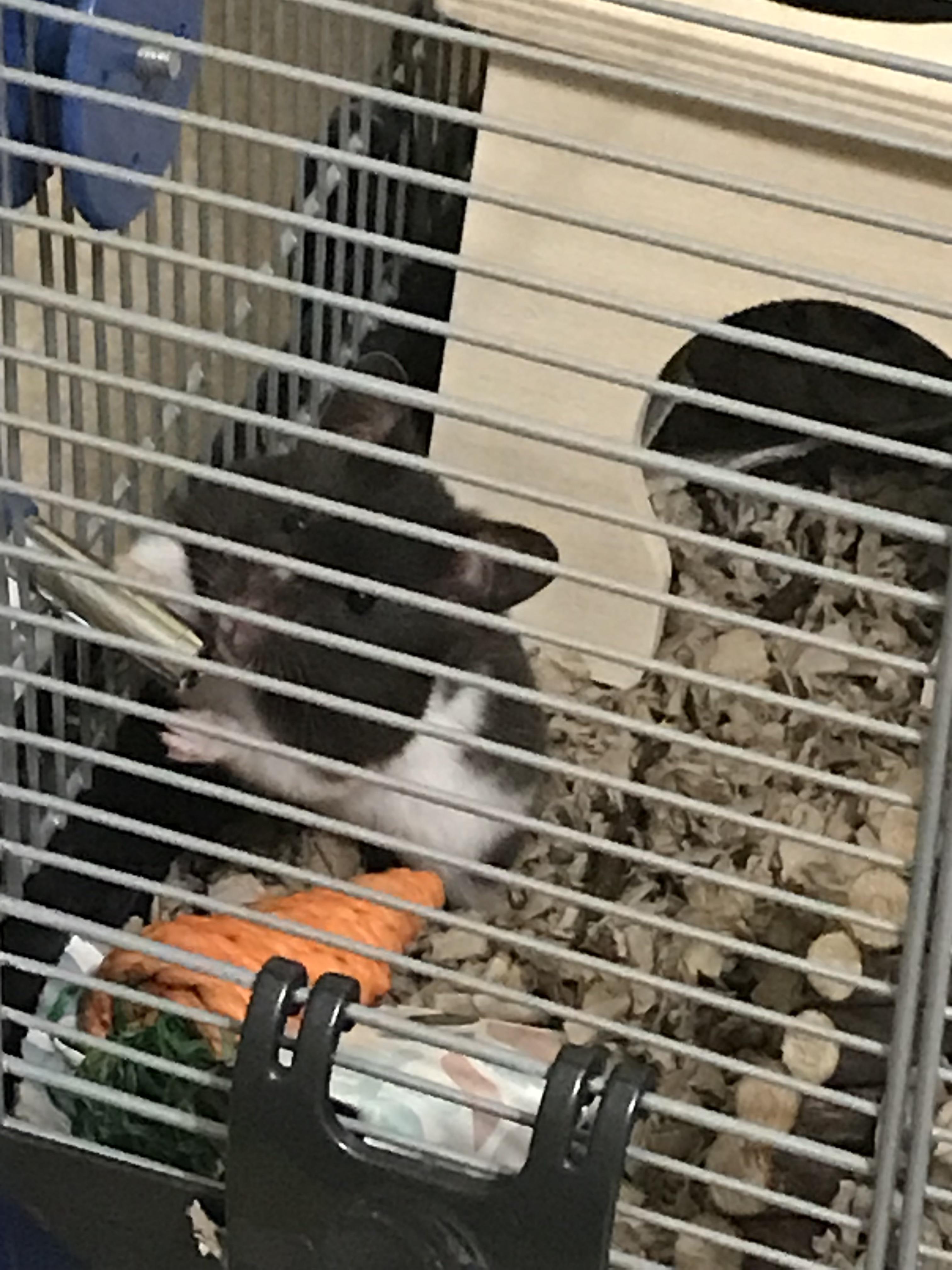 My baby Eleanor came out when my lights were on! This is the first time