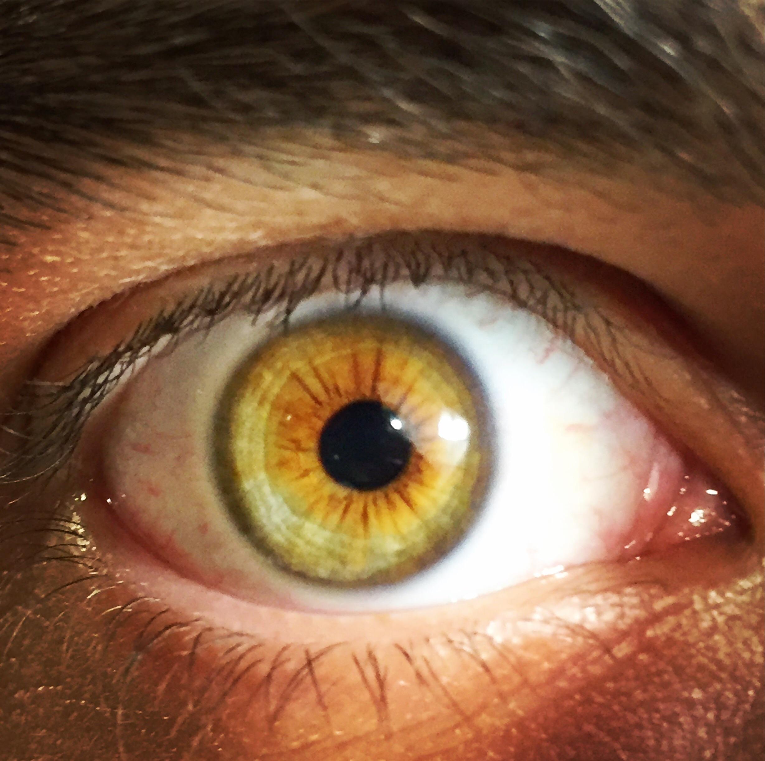 Brown? Green? Amber? r/eyes