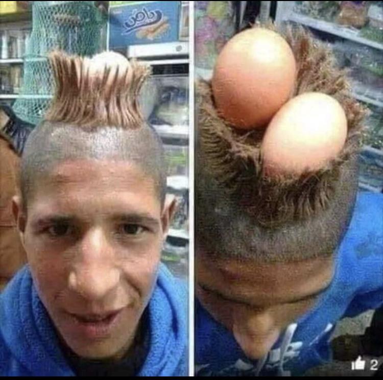 He asked for a birds nest and he got it! r/Justfuckmyshitup