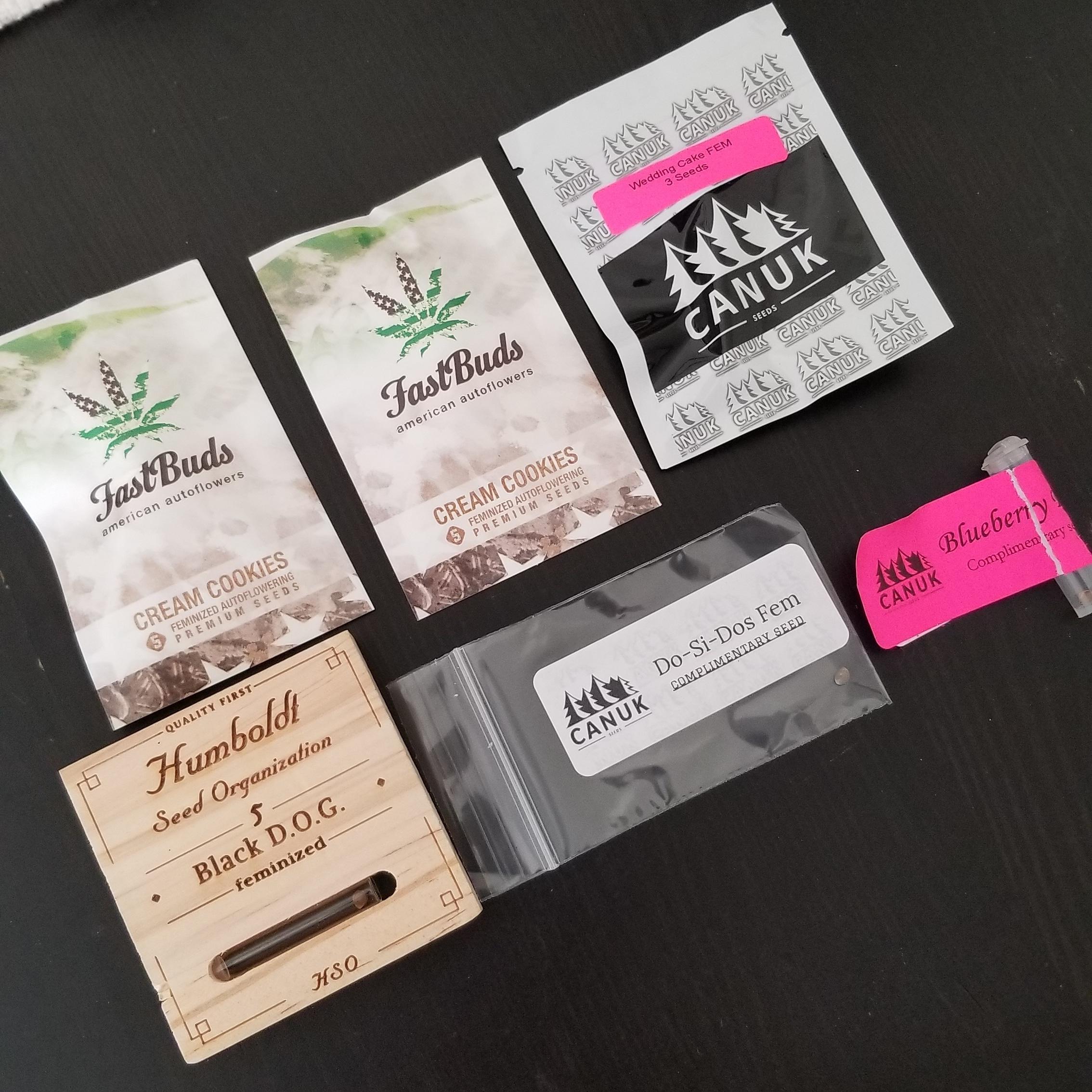 Seed order arrived from True North Seed Bank! Pretty stoked to get