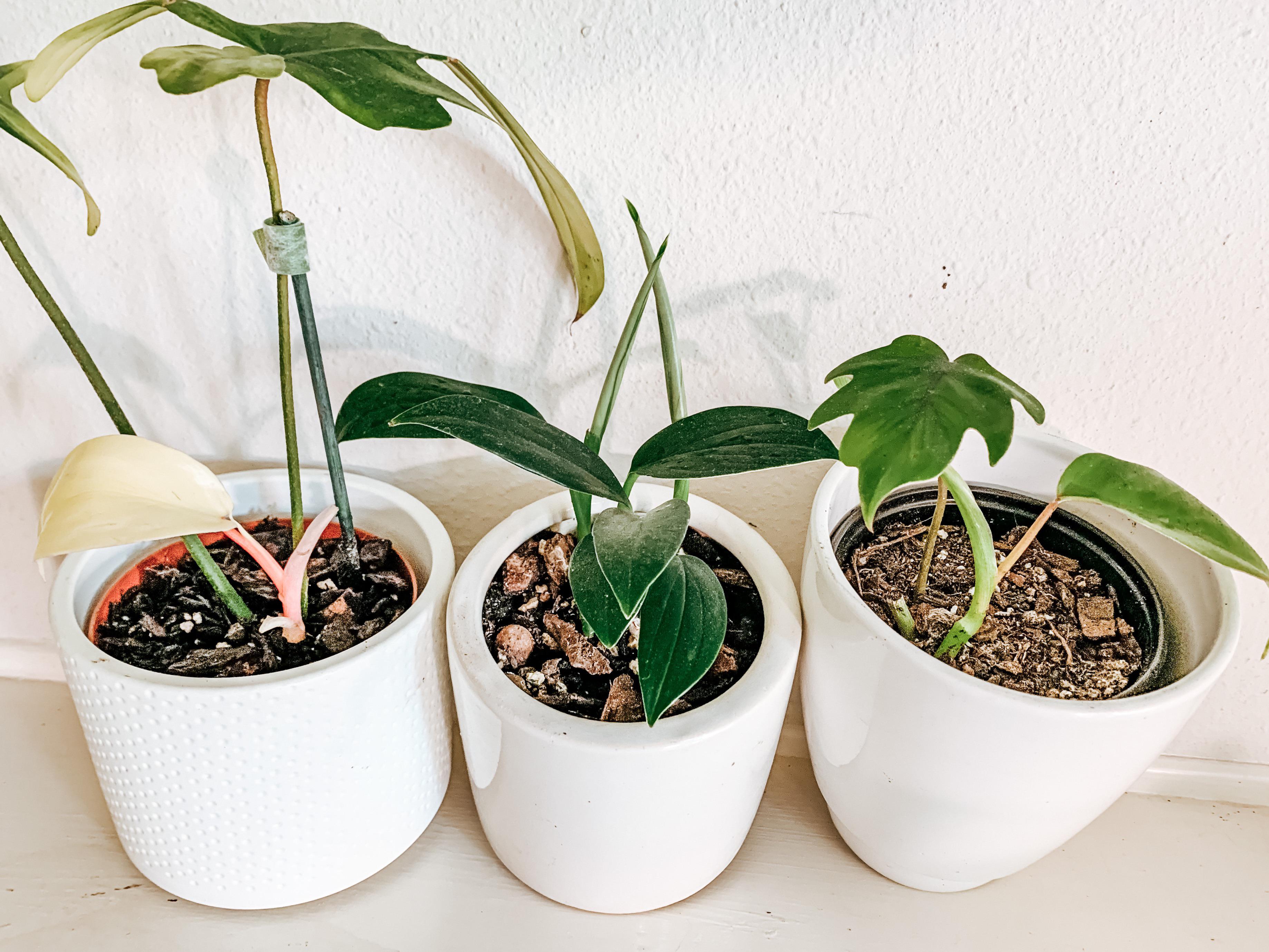 Started feeling guilty for just sitting around waiting for these guys