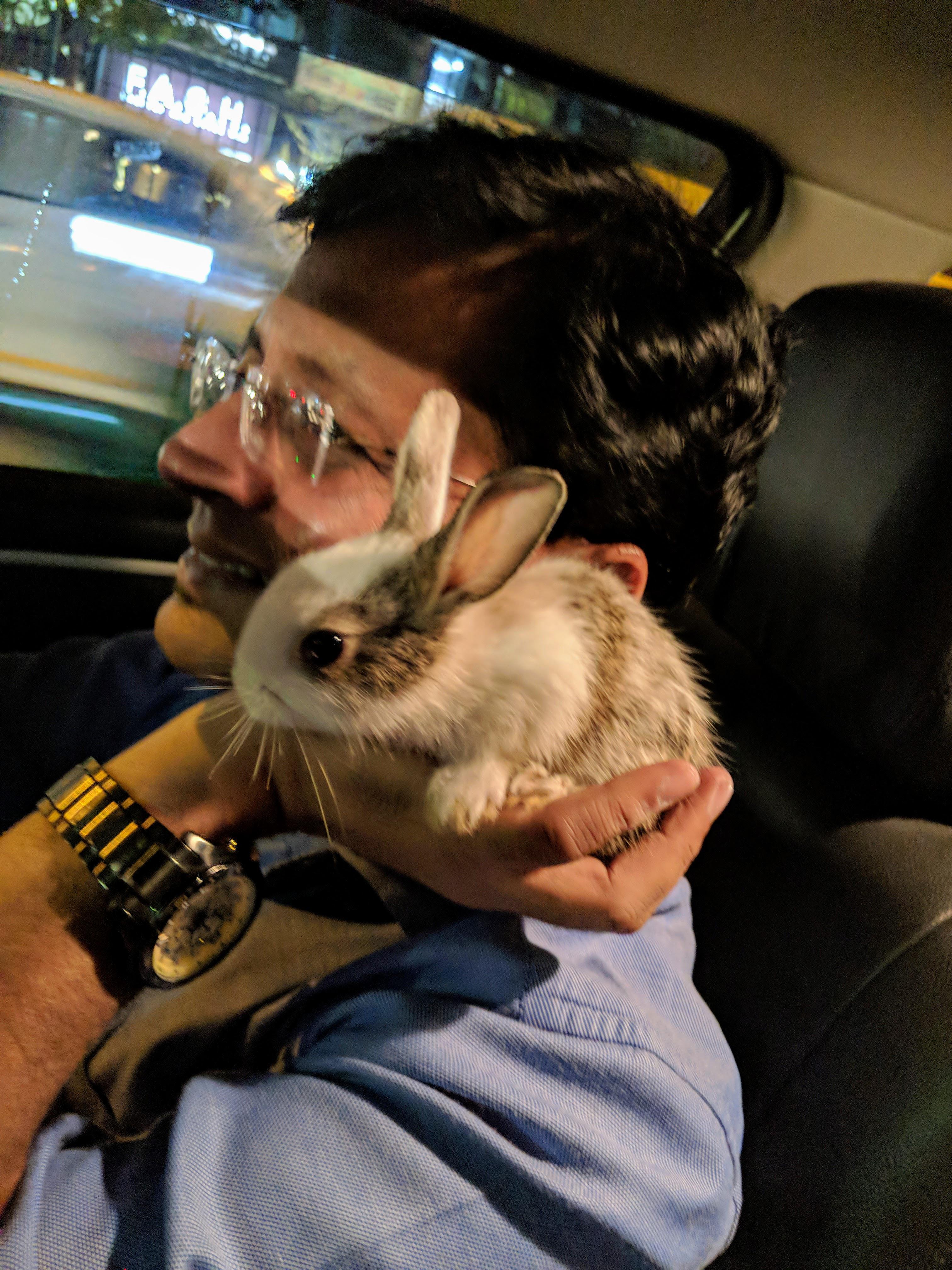 Dad taking the 'rabbit we didn't need' to a road trip 😁 r
