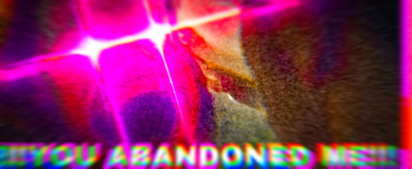 YOU ABANDONED ME!!! meme