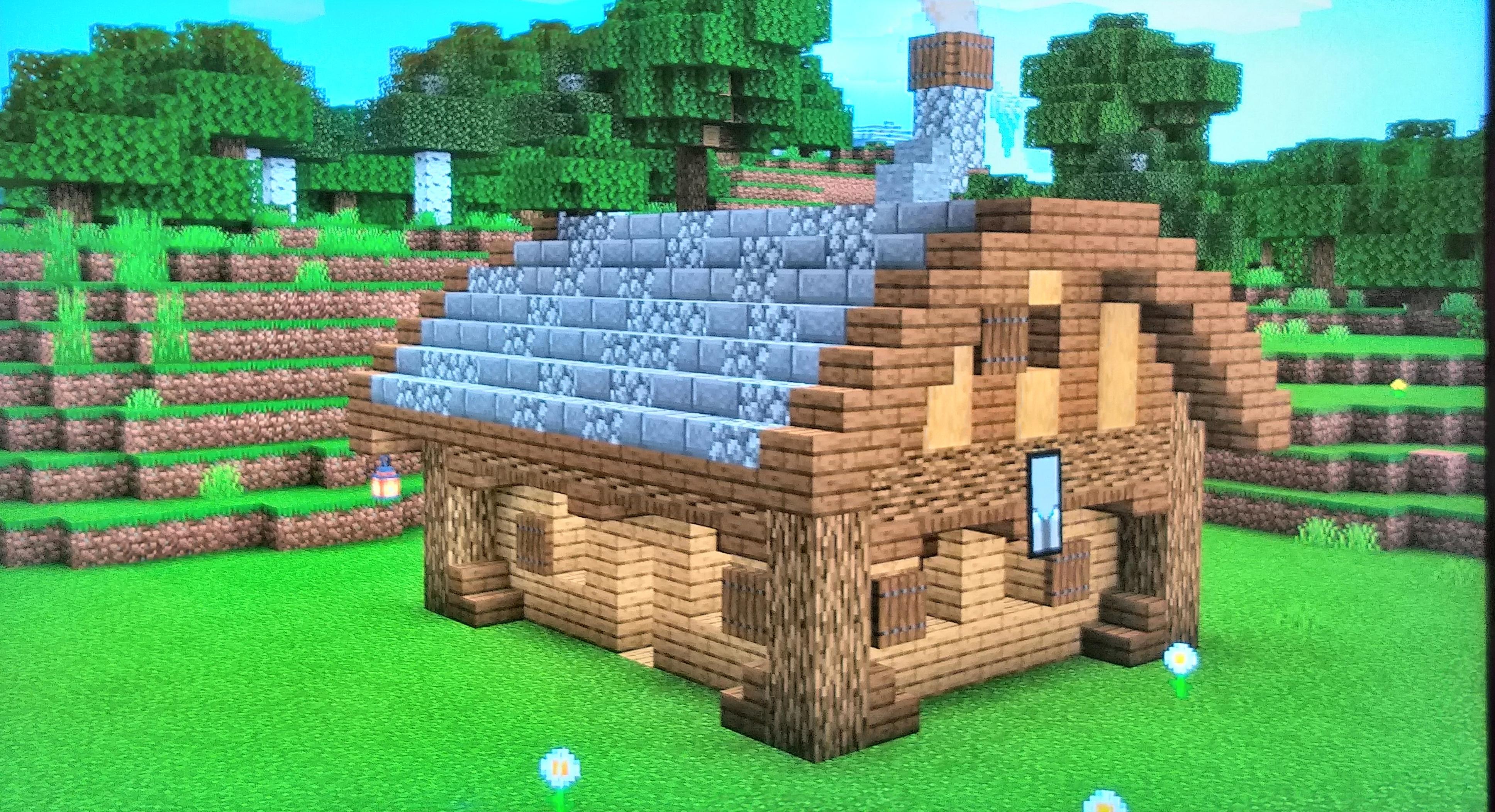 Cool Minecraft Starter House