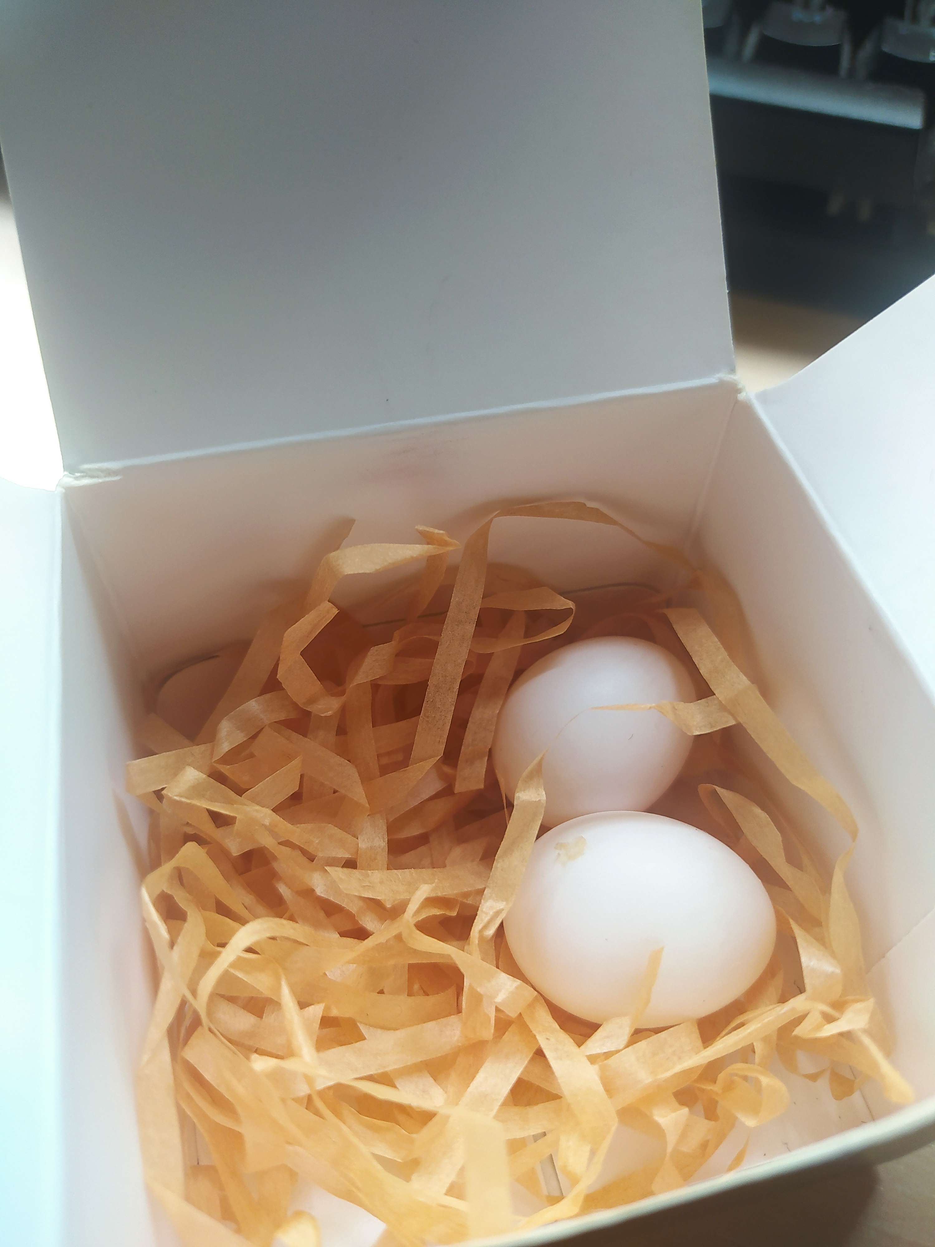 My bird has laid 2 eggs(3 in total),should I leave them in a nest for a