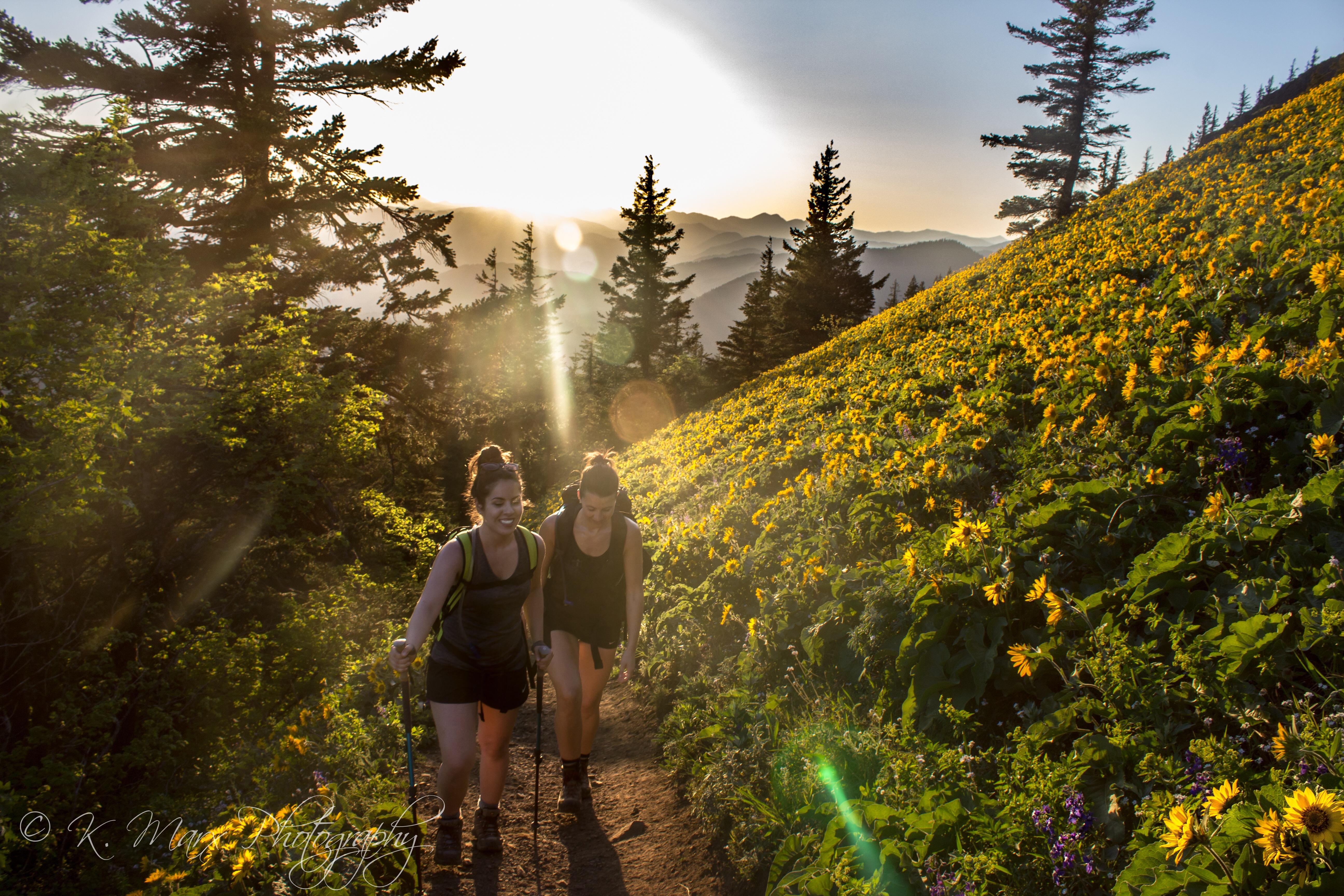 [OC] Hiking through a field of wildflowers at sunset on Dog Mountain
