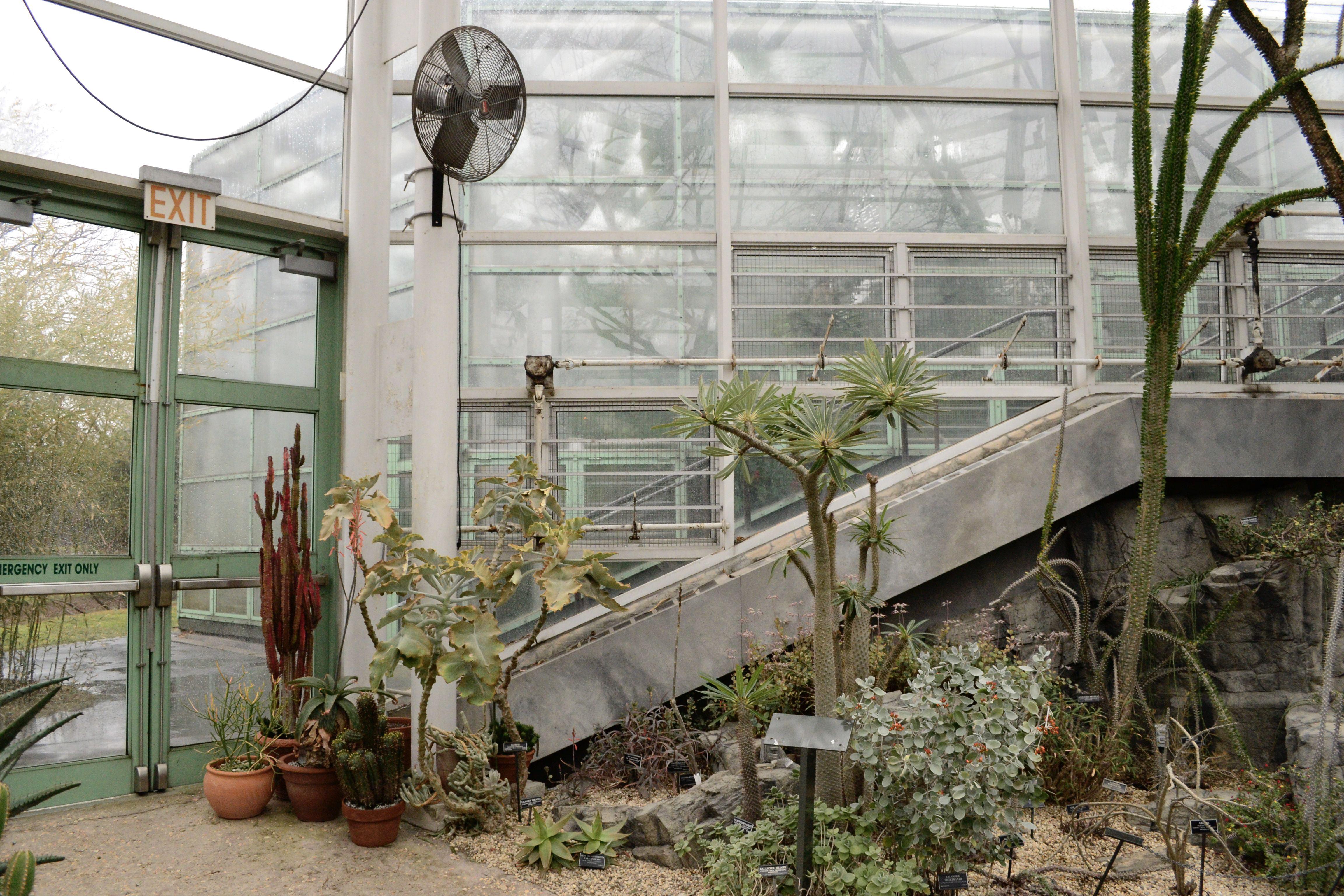 From my last visit to the Brooklyn Botanical Garden Greenhouse r