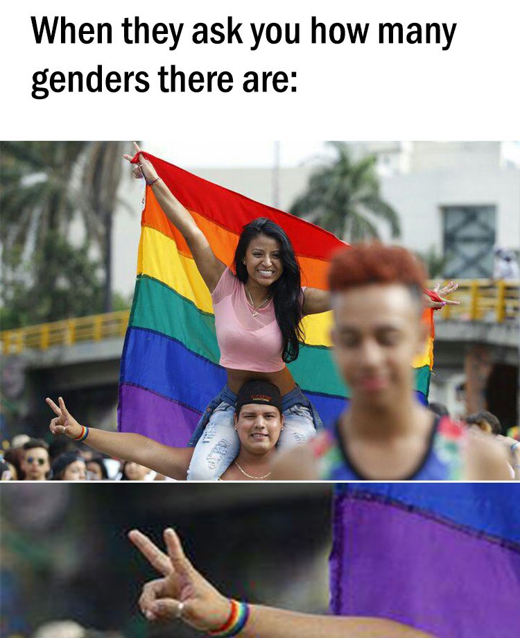 Gender memes are always a stable investment r/MemeEconomy