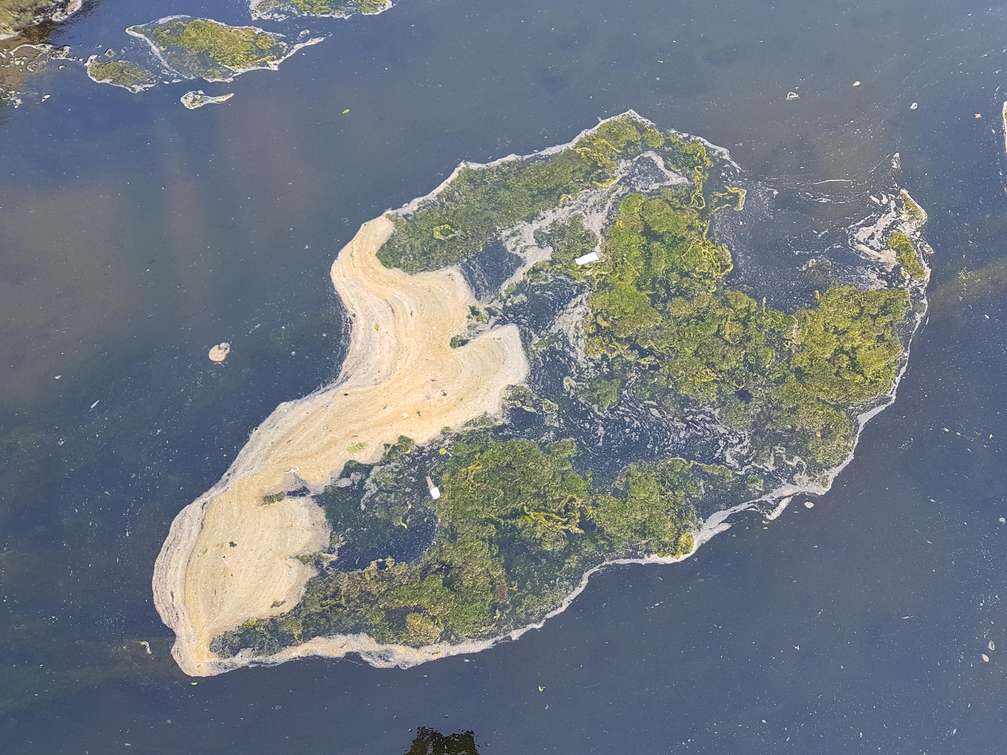 The forbidden island r/Miniworlds