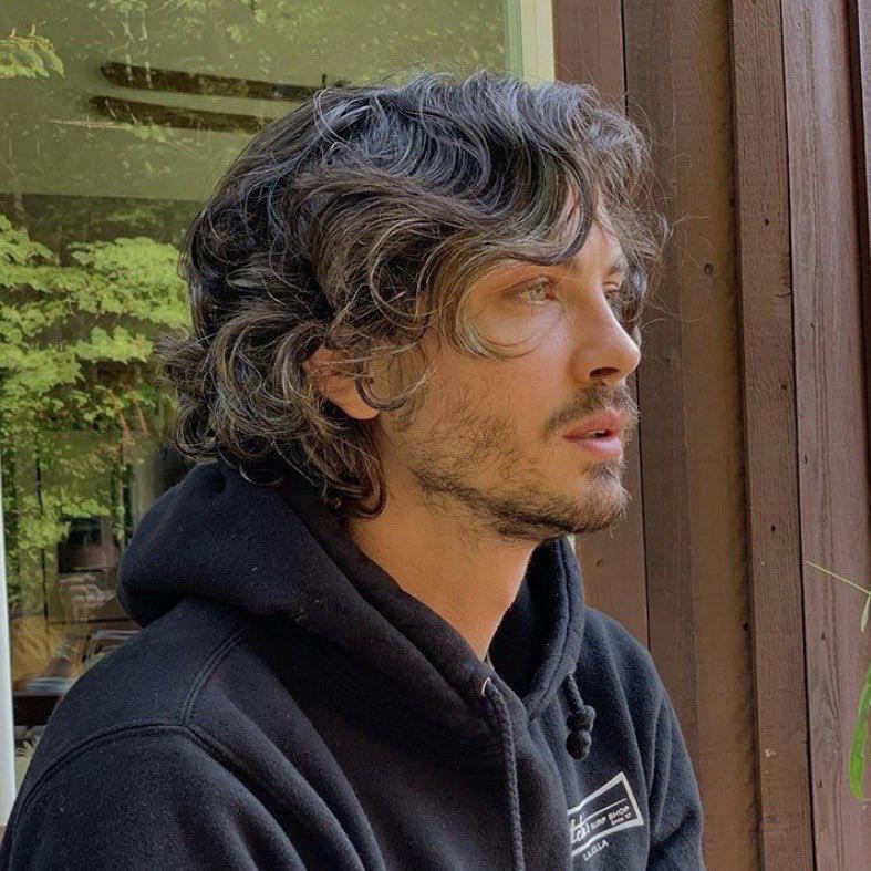 Logan Lerman is so handsome with his salt and pepper hair. r/LadyBoners