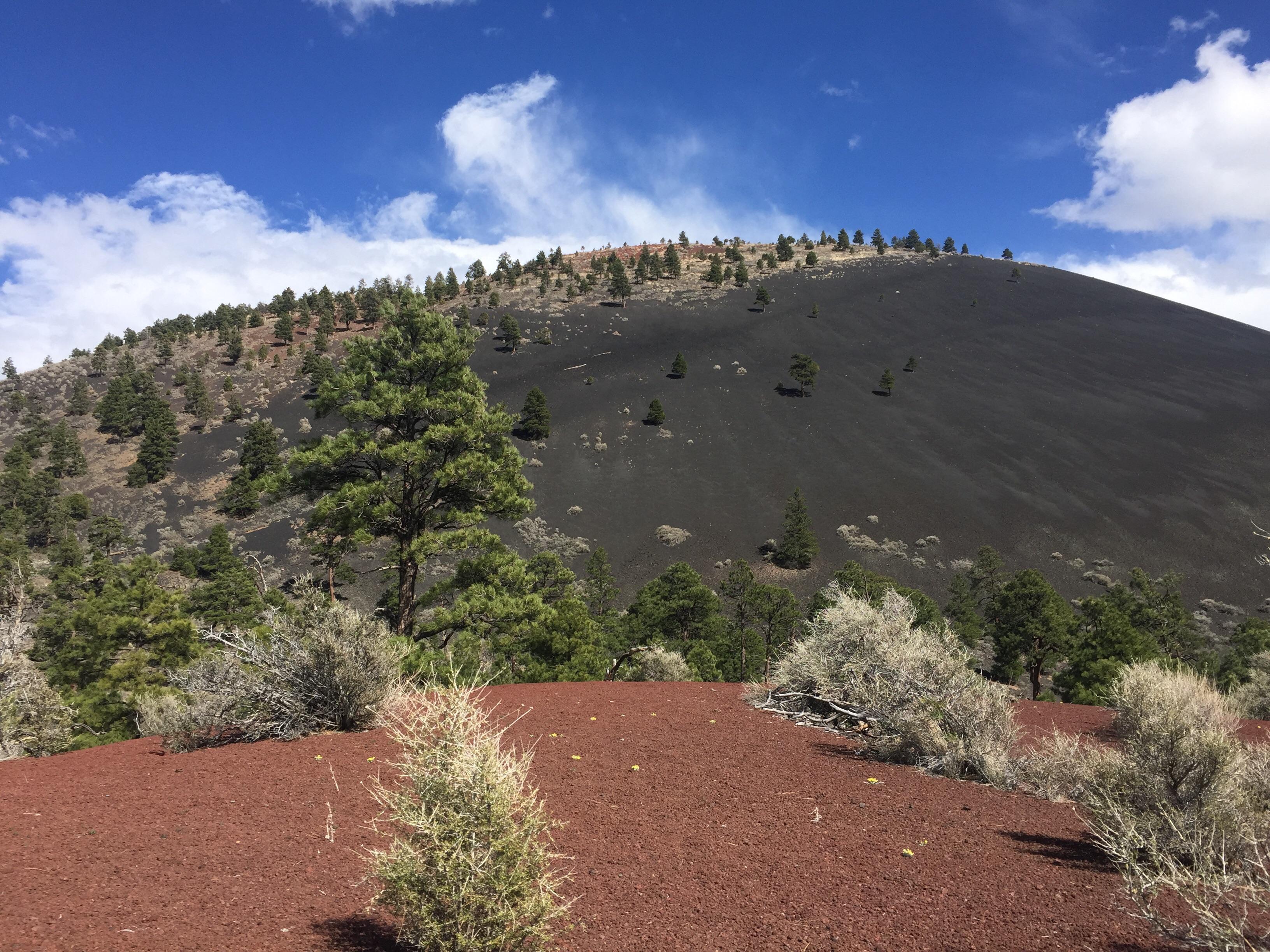 Sunset crater volcano in Arizona. Incredibly diverse soil composition