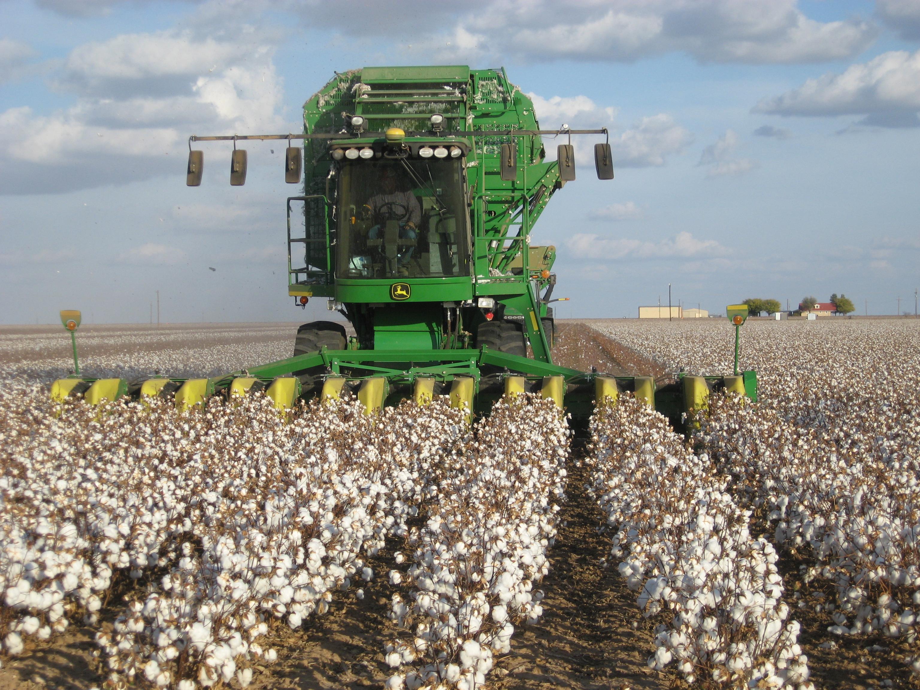 Cotton picker at day doesn't look like a huge concert crowd r
