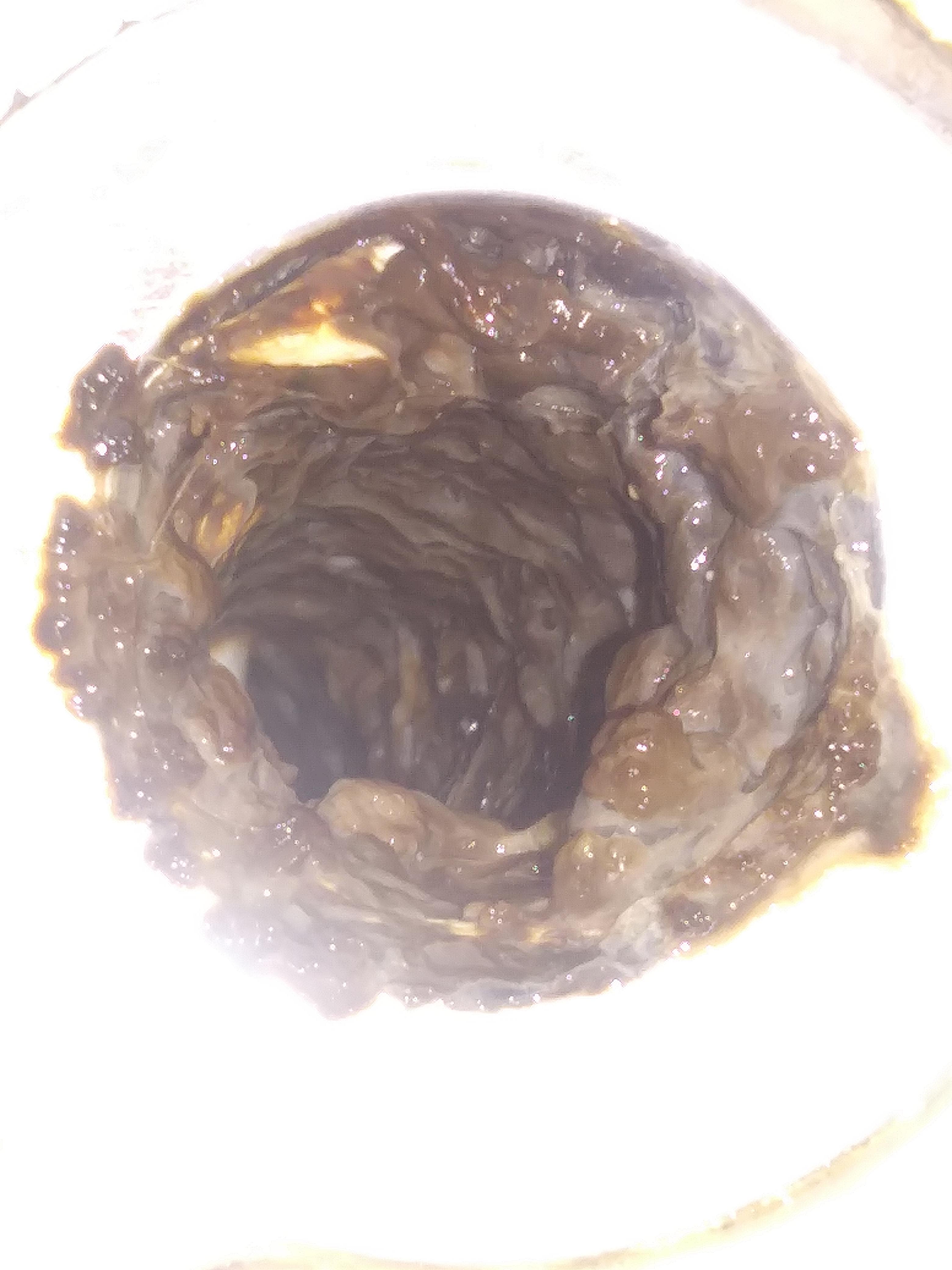 The Drain from r/whatisthisthing. I used Liquid Plumr last night. This