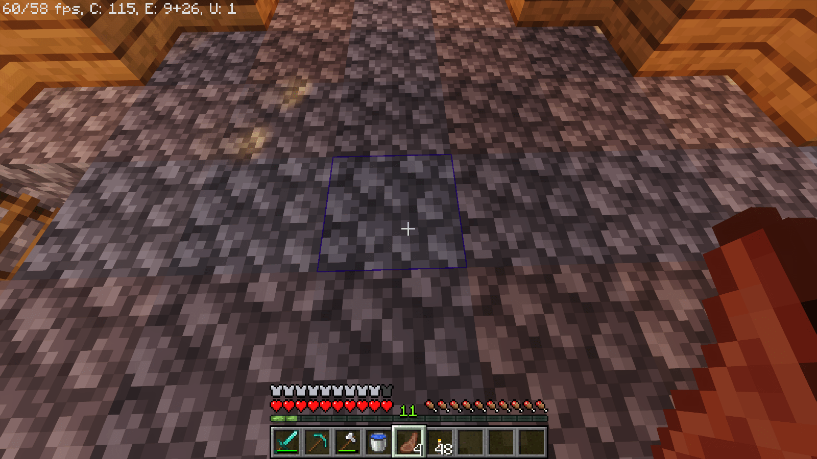 what are these blue lines around the blocks im pointing at? im on 1.17