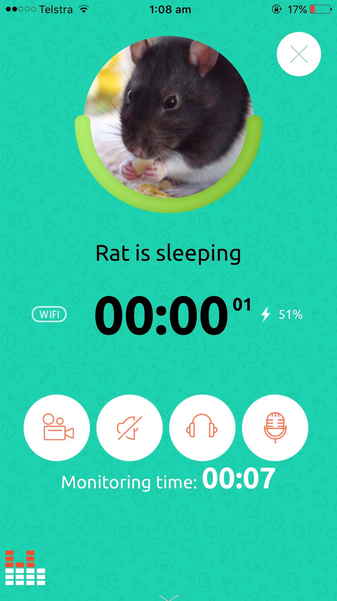 I bought a baby monitoring app to listen to rats during the night because intros are stressful 🙃