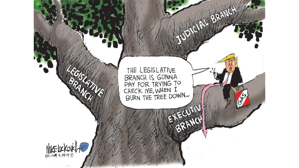 Animation Legislative Branch Cartoon