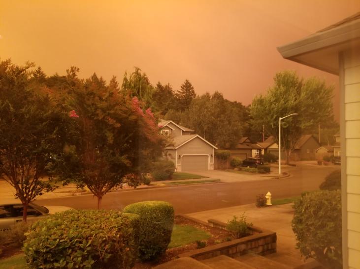 Reddit Dive into anything