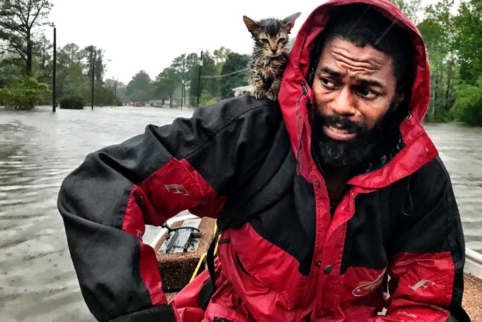 Robert Simmons Jr and his kitten "Survivor" are rescued from