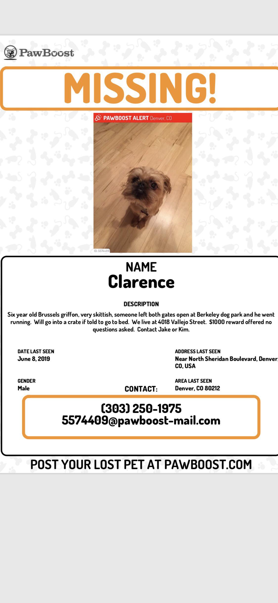 Lost Dog Saturday at Berkeley Dog Park. Reward offered. r/Denver