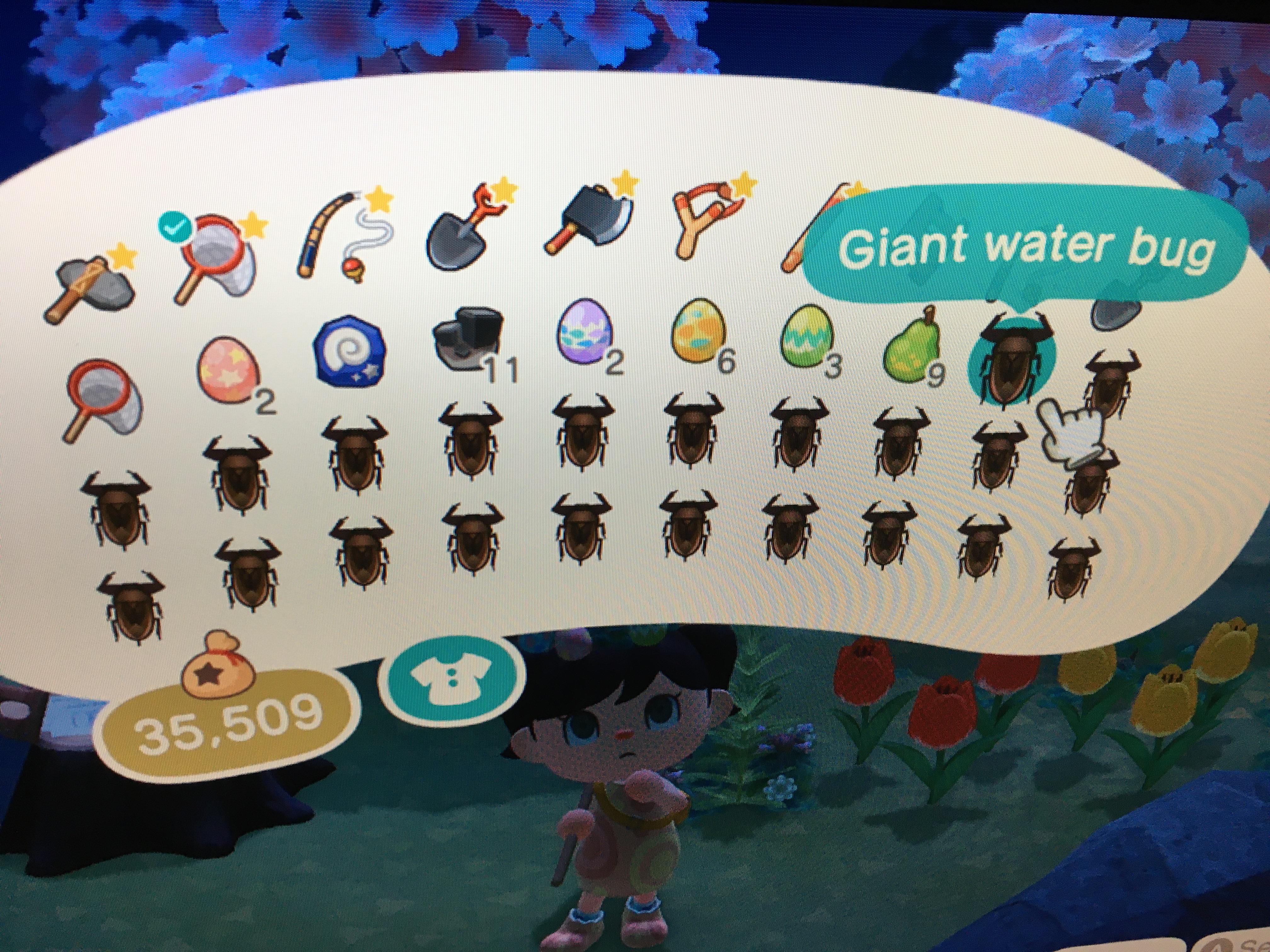 Everybody out here getting tarantula islands...meanwhile on giant water bug island r