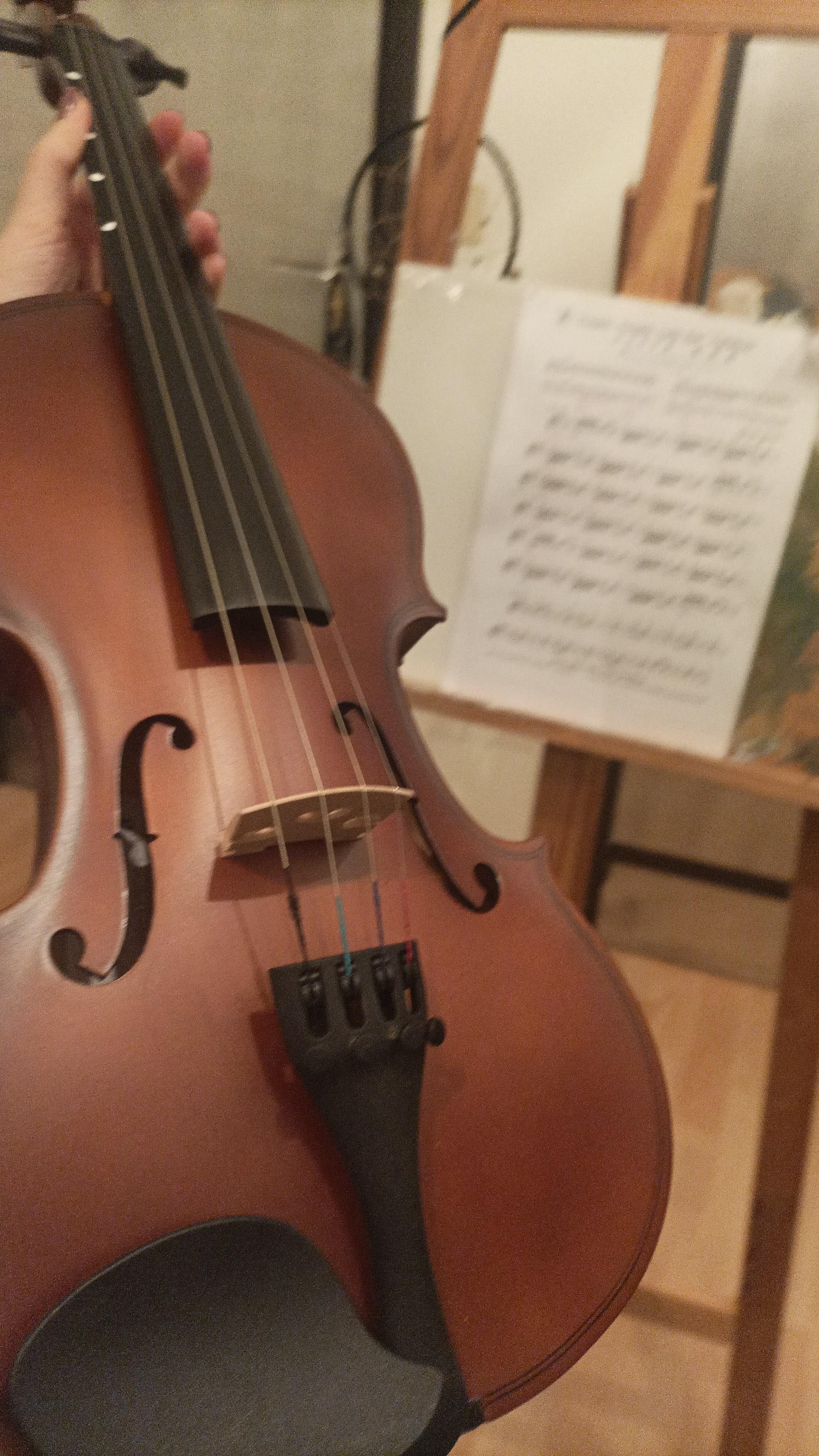 I'm so thrilled to announce that I got my first violin this week ! r
